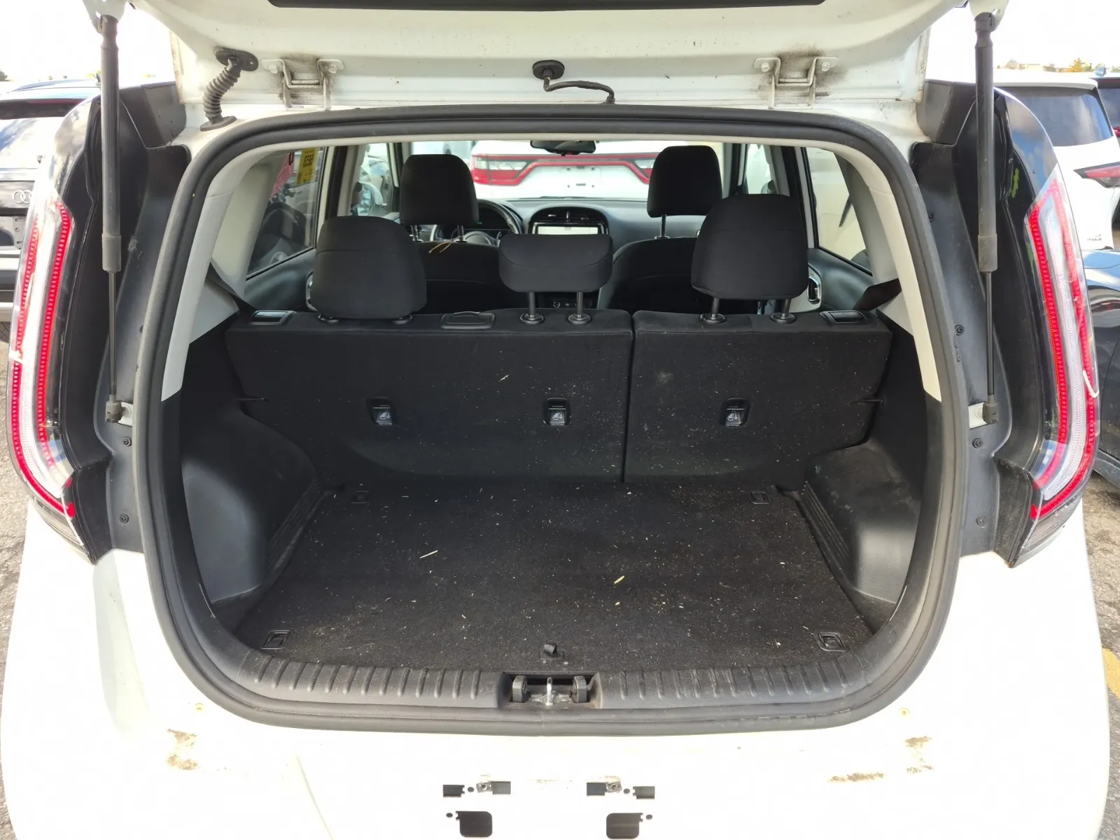 Cargo Area Photo