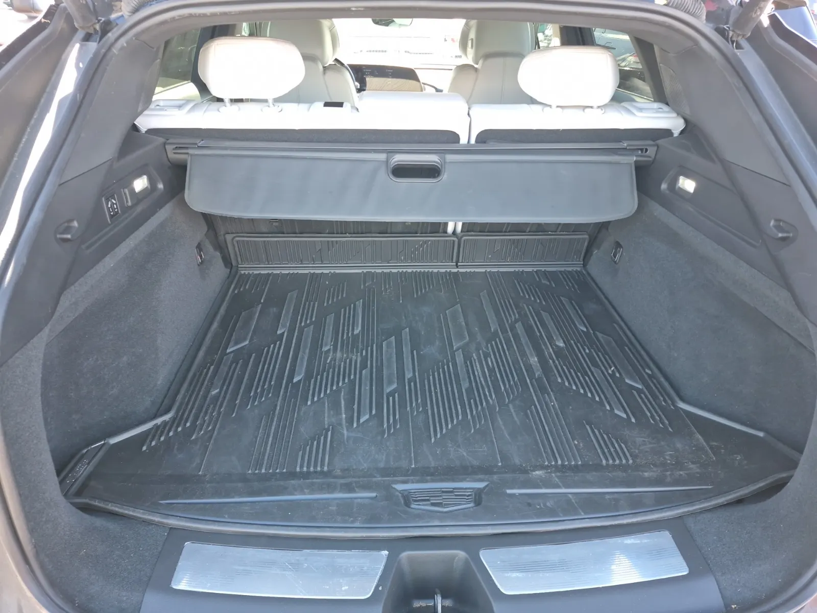 Cargo Area Photo