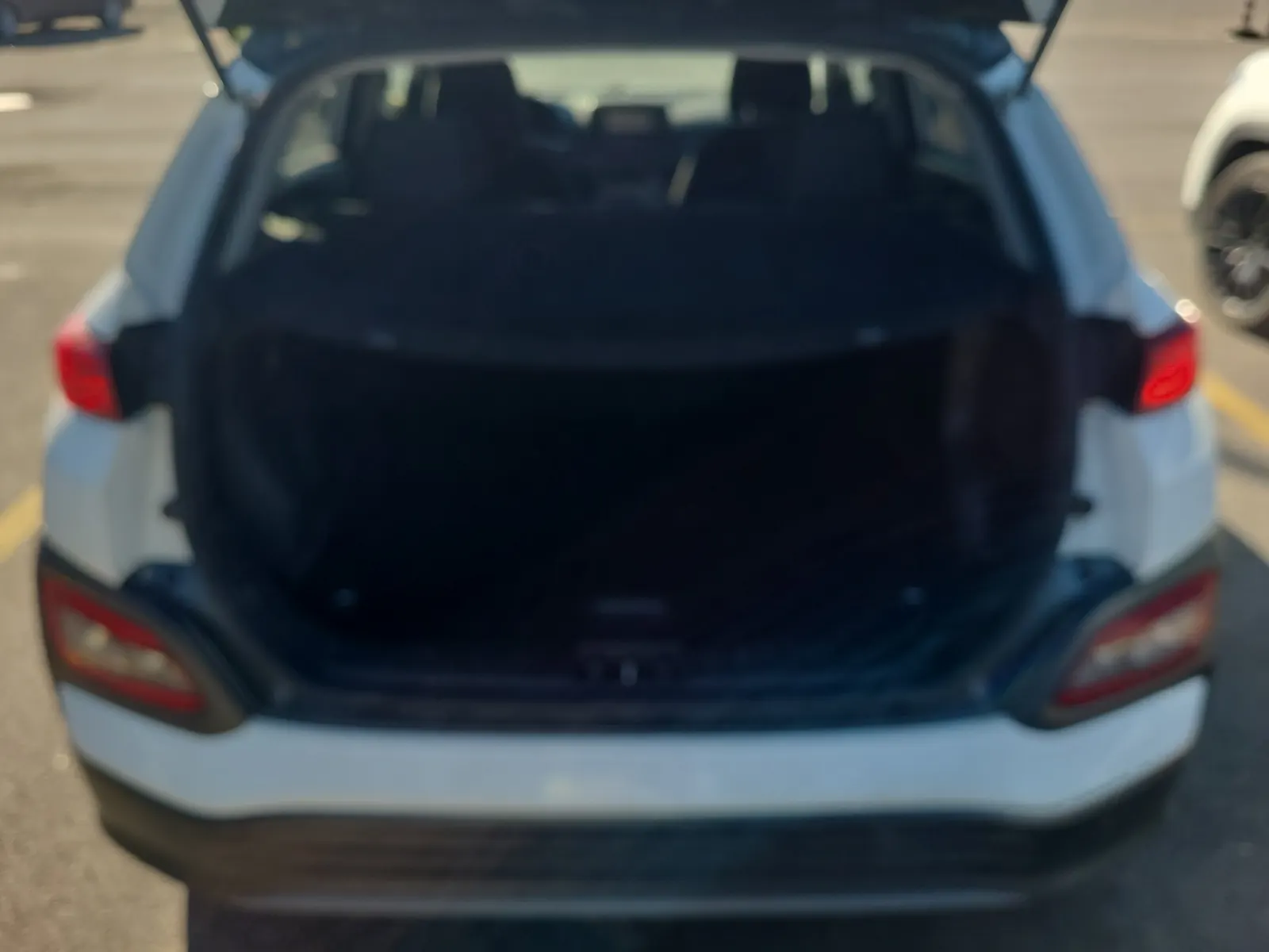 Cargo Area Photo