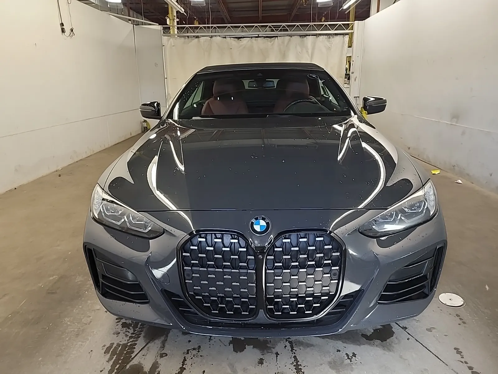 Full Front Photo