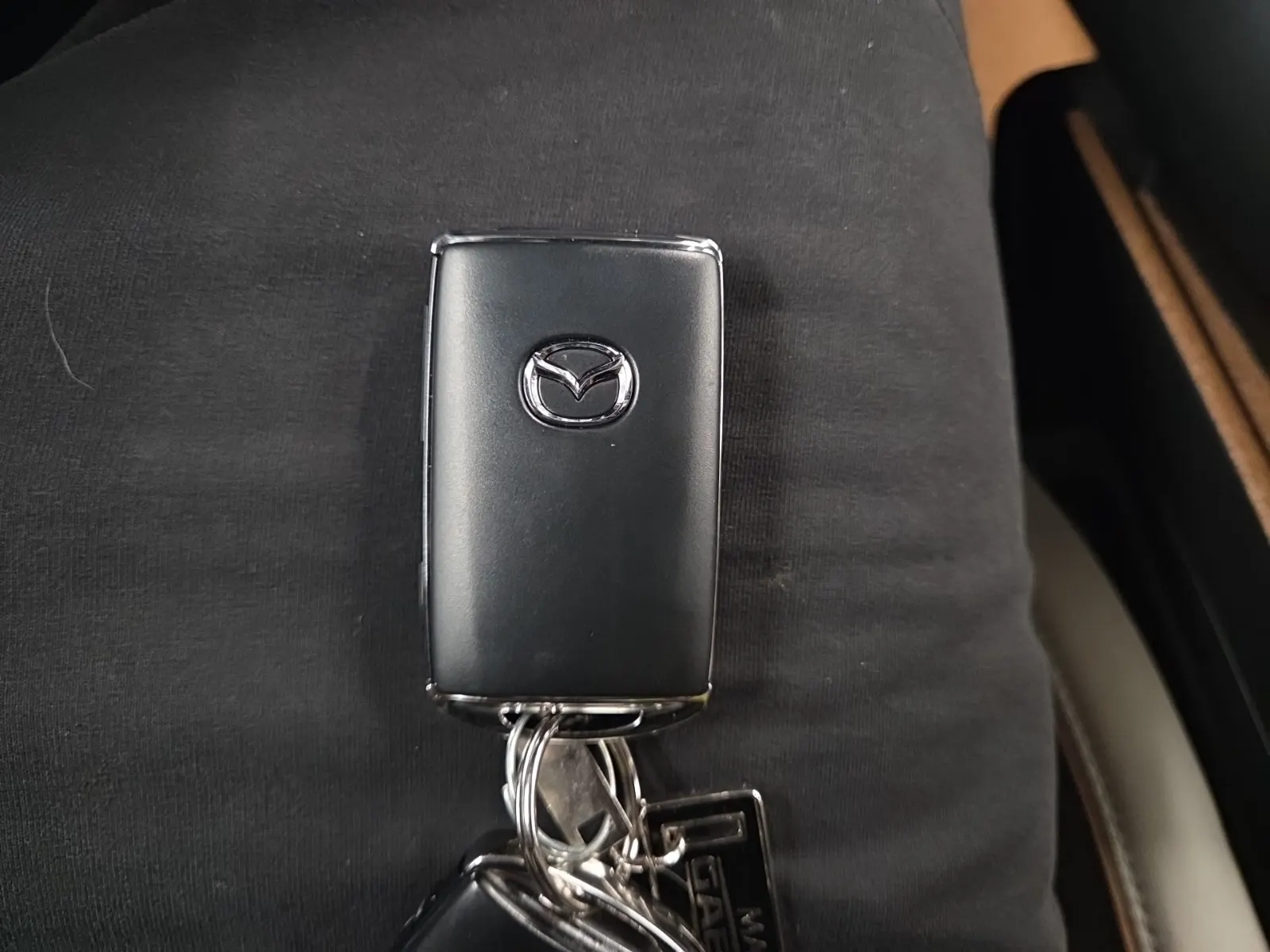 Keys/Fobs/Manual Photo