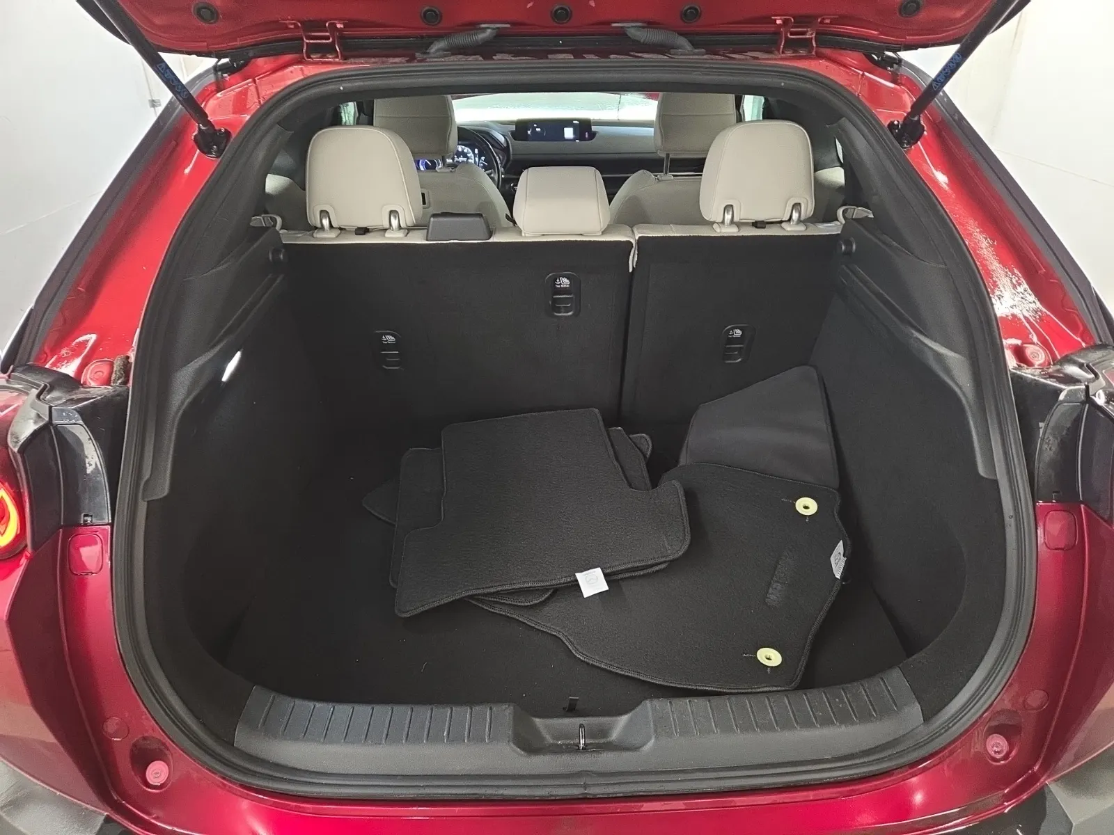 Cargo Area Photo