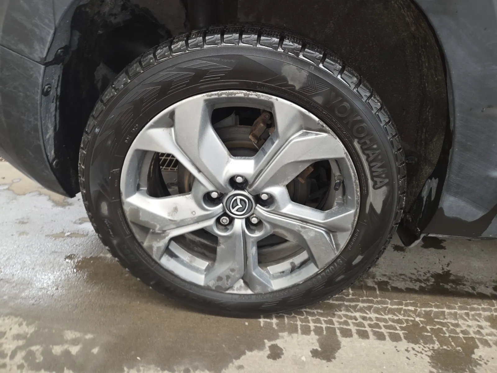 Right Rear Wheel/Tire Photo