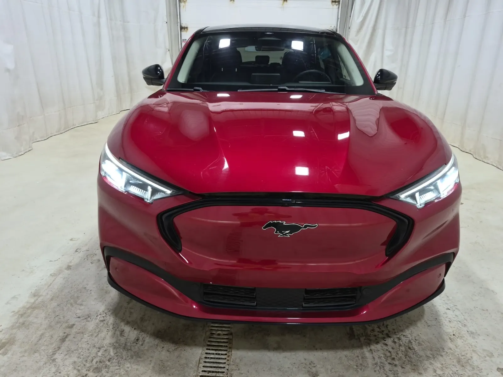 Full Front Photo