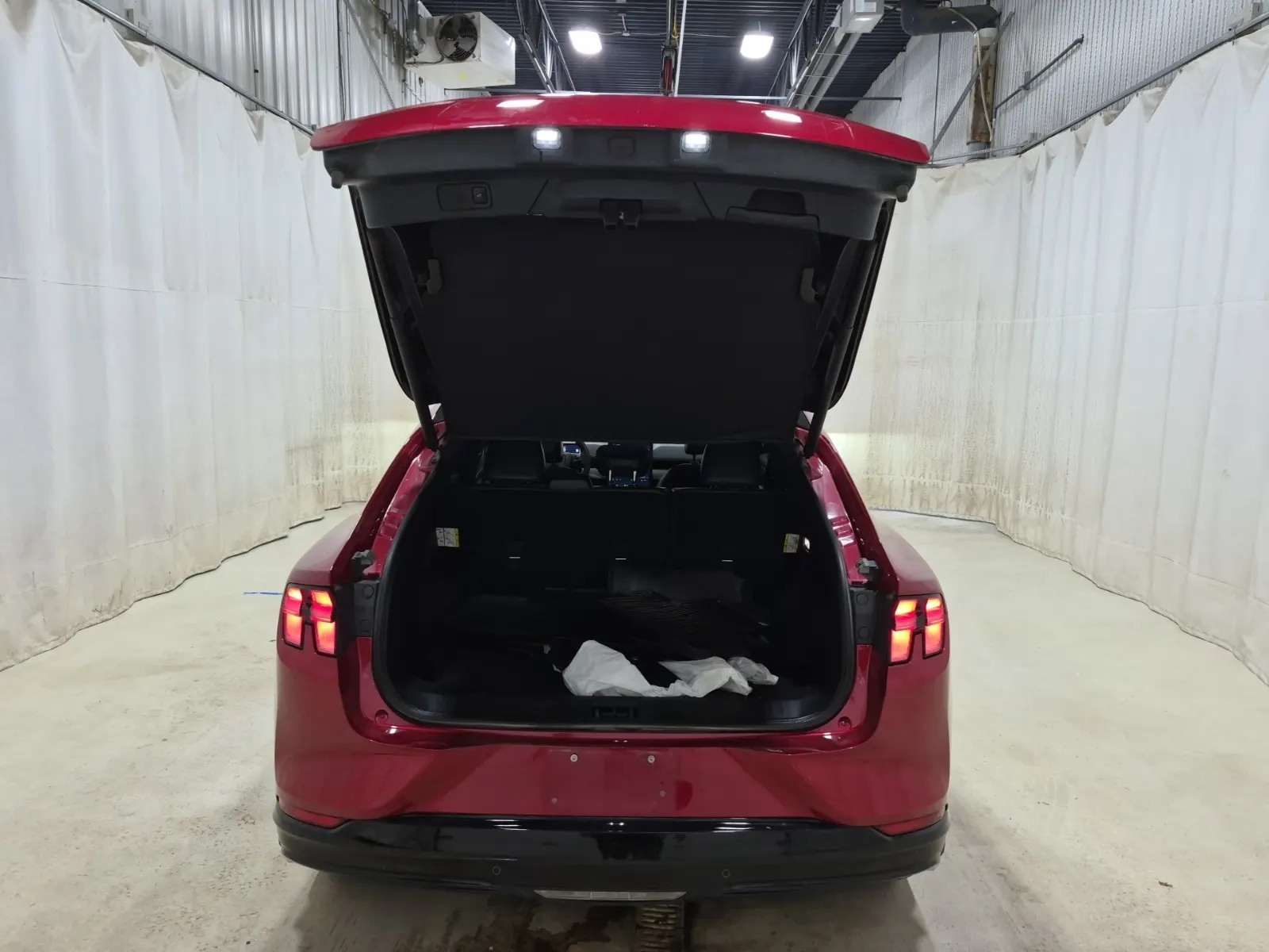 Cargo Area Photo