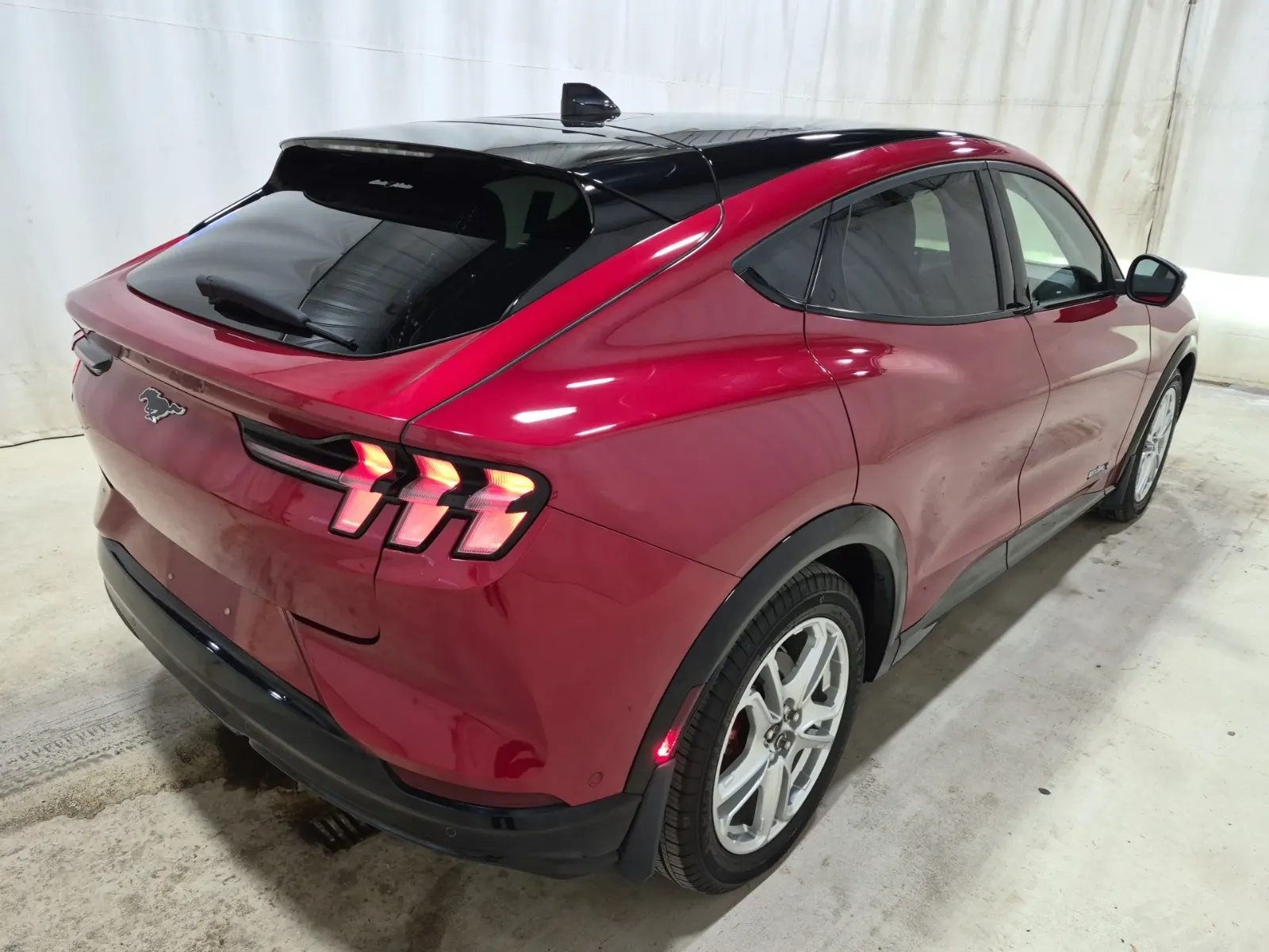 Passenger Rear 3/4 Photo