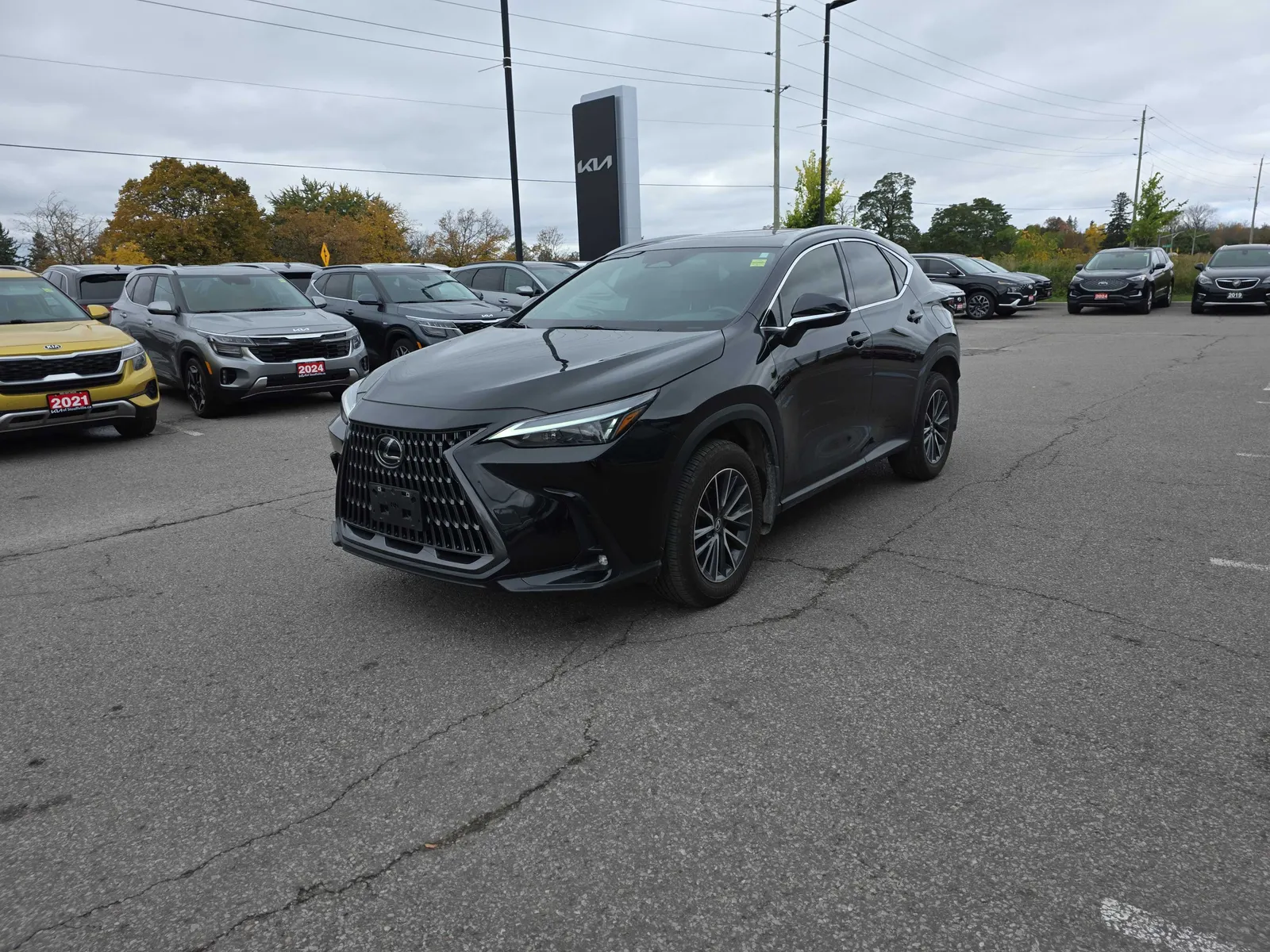 2025 Lexus NX