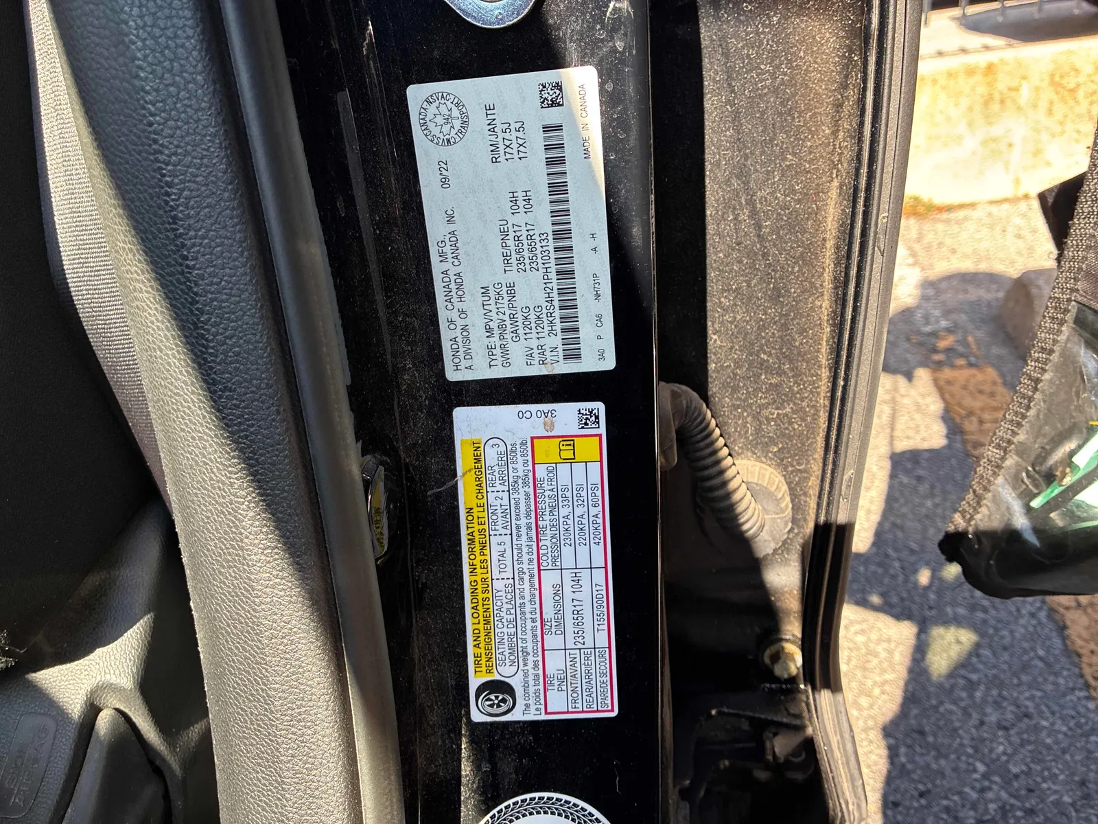 Additional Photo