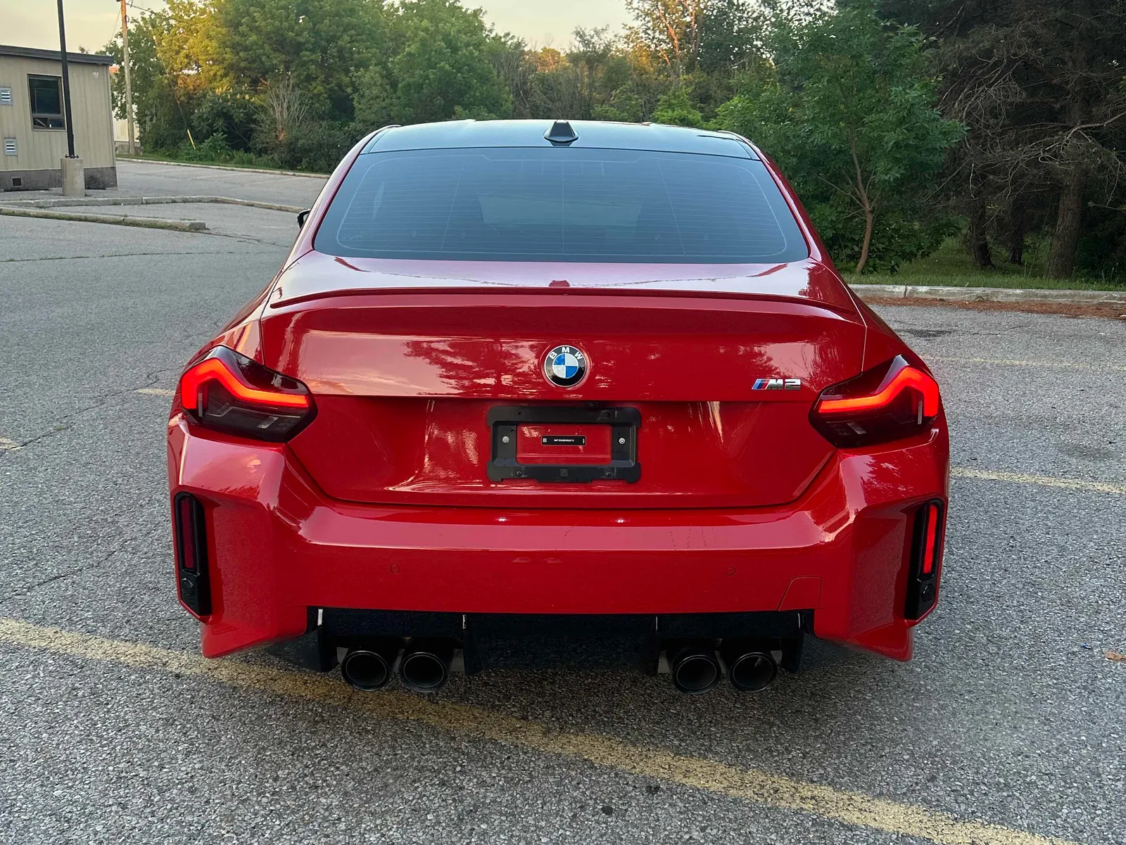 Back