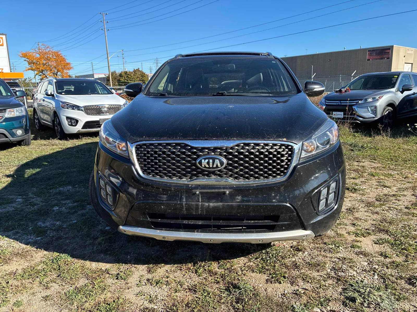 Front