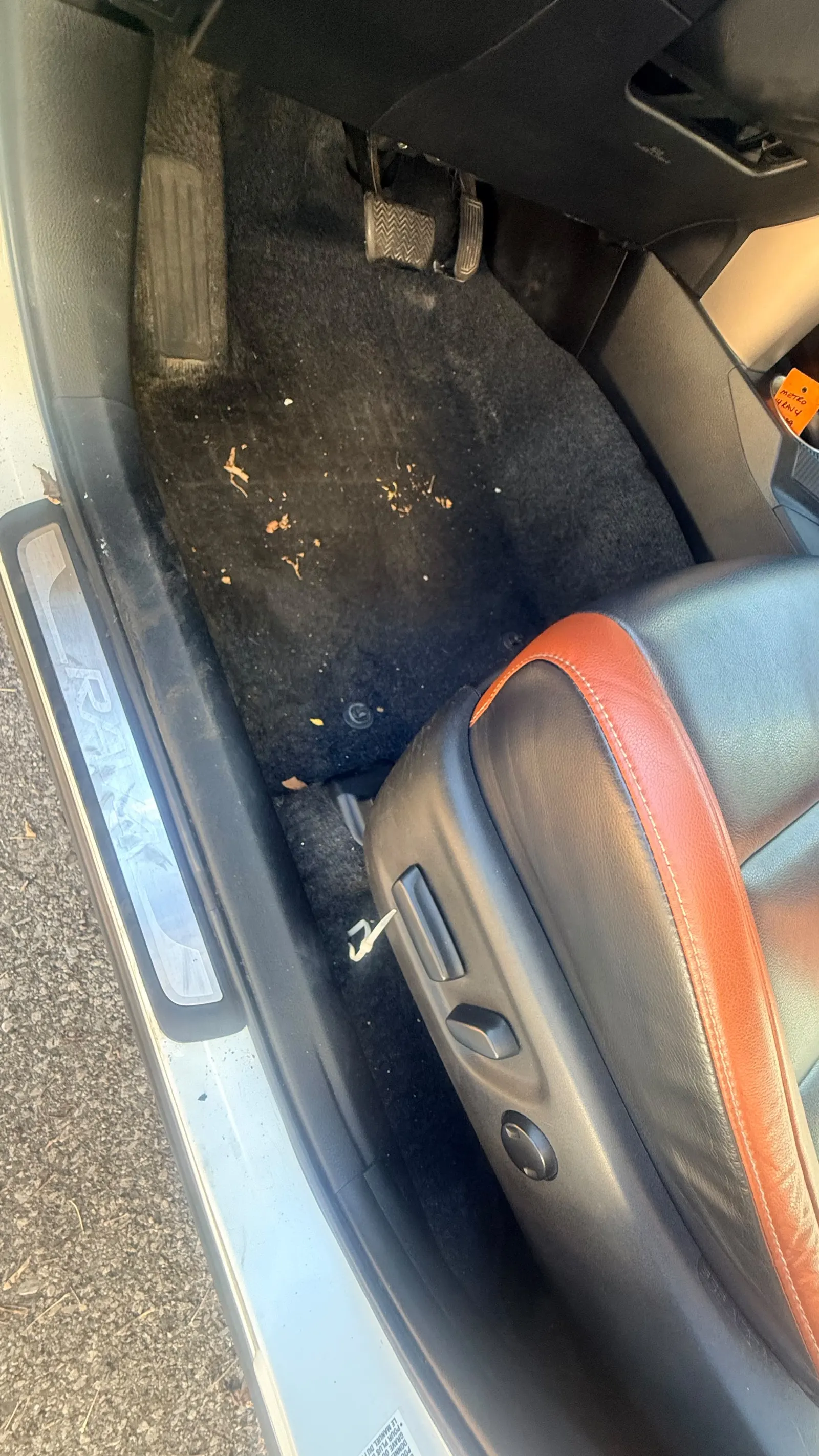 Additional Photo