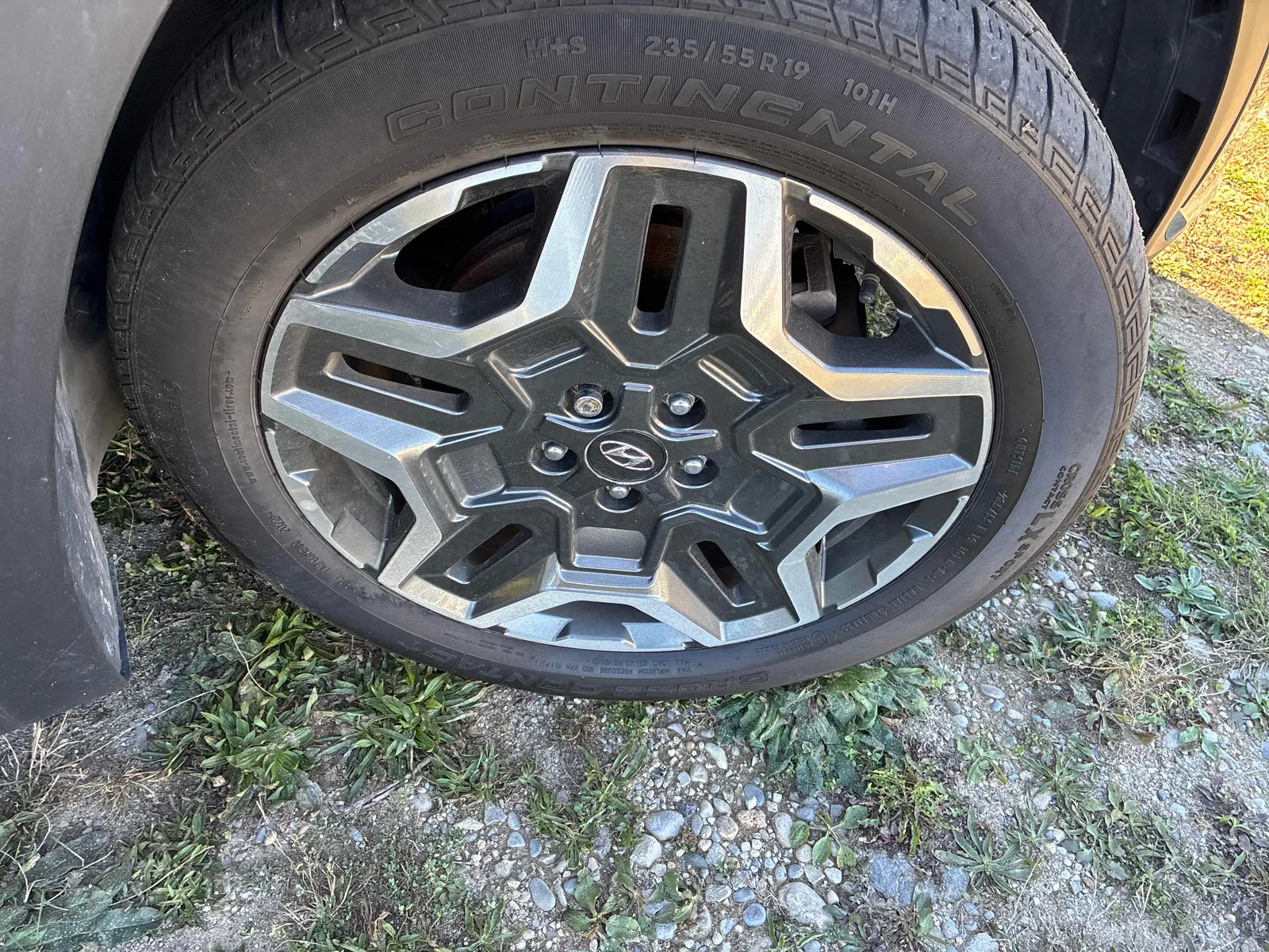 Tire