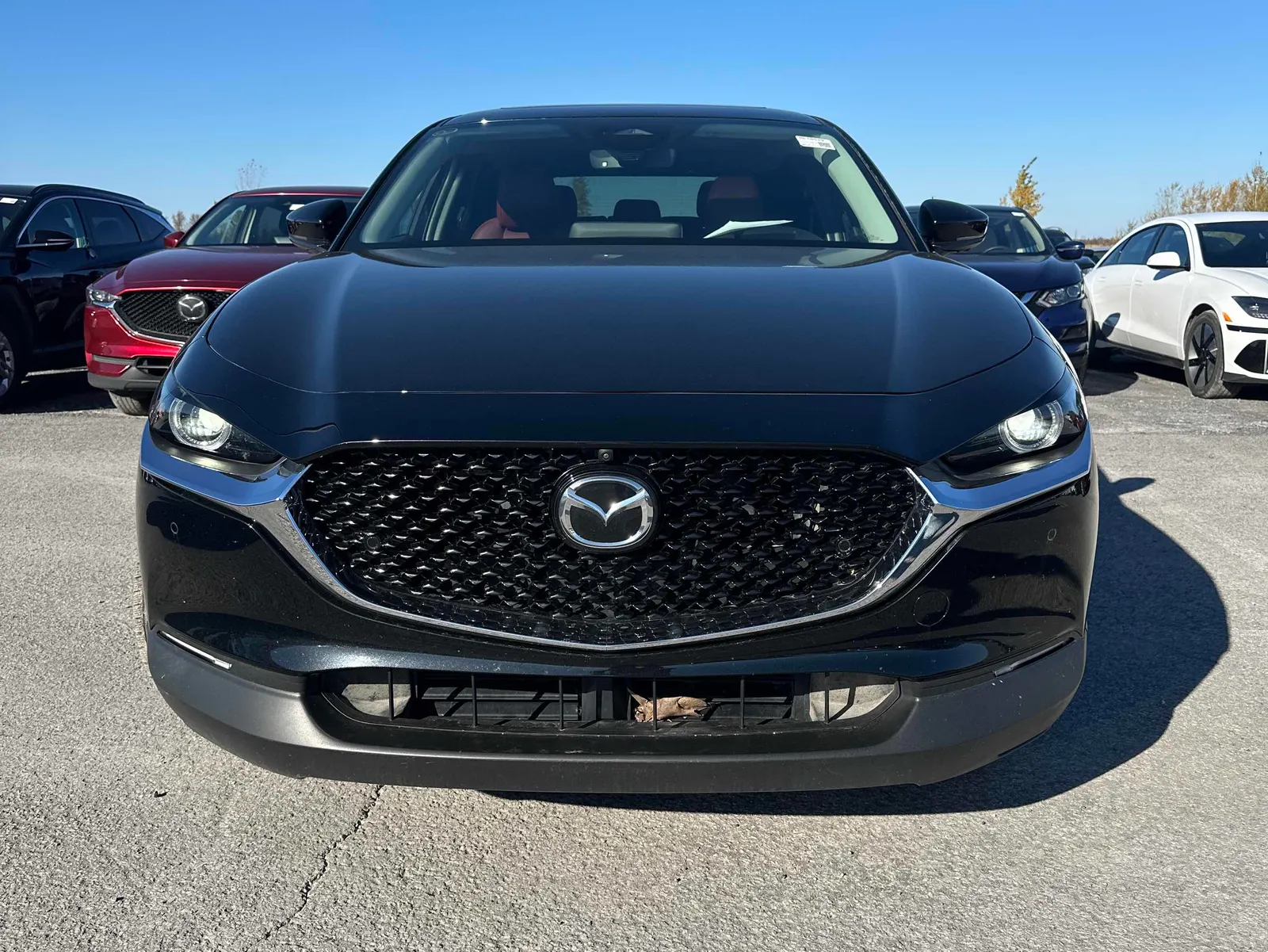 Front