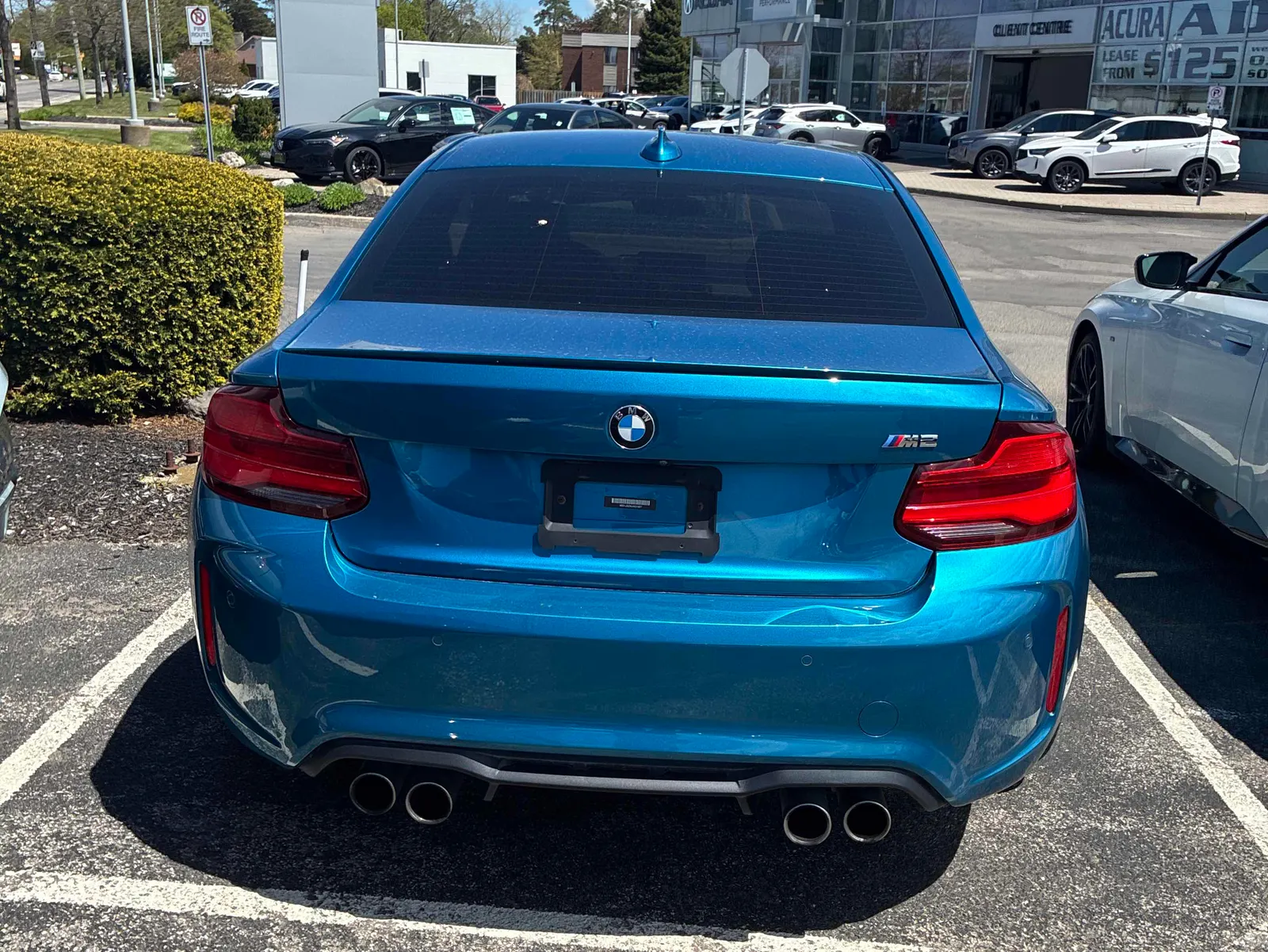 Back
