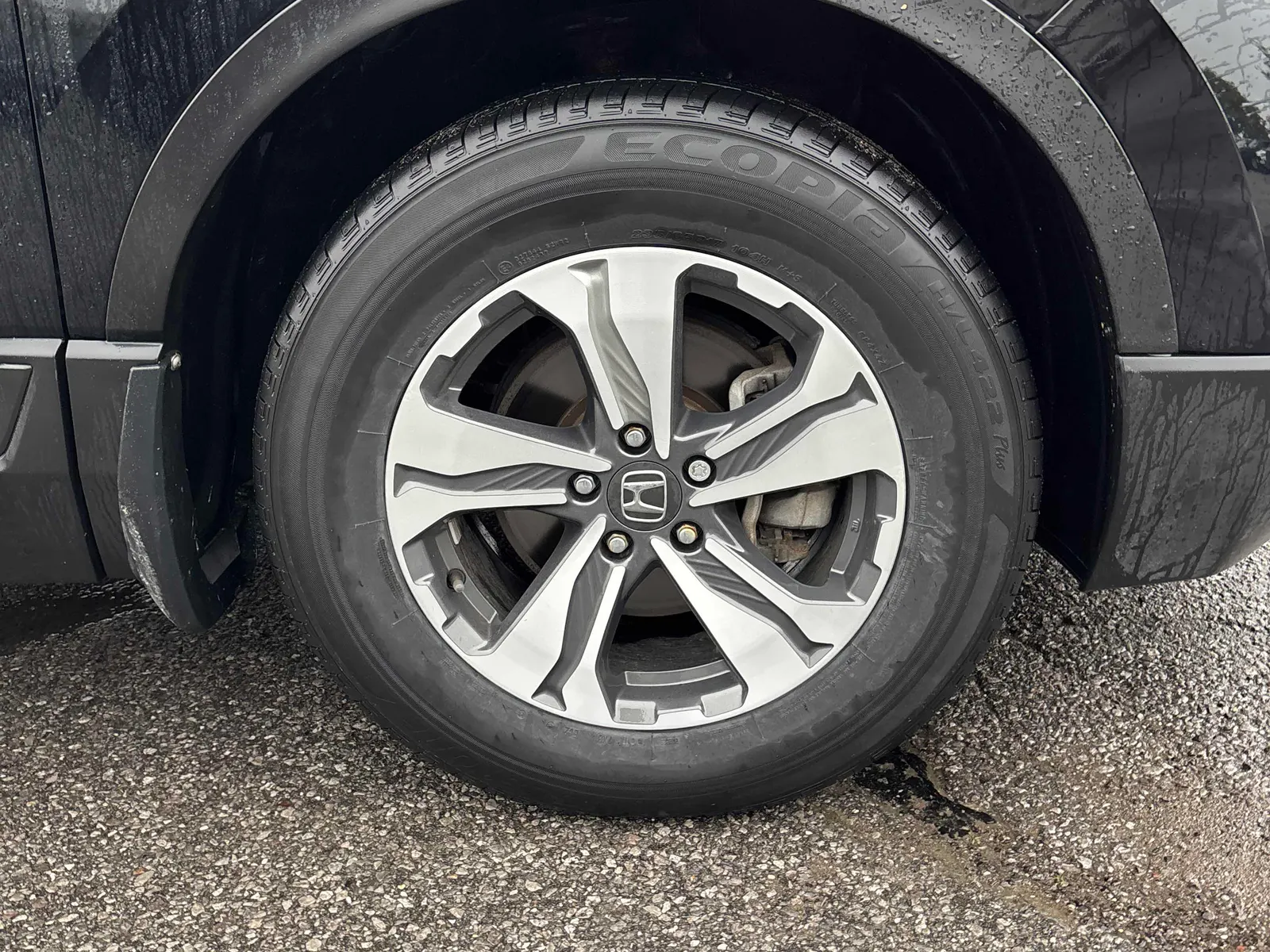 Tire