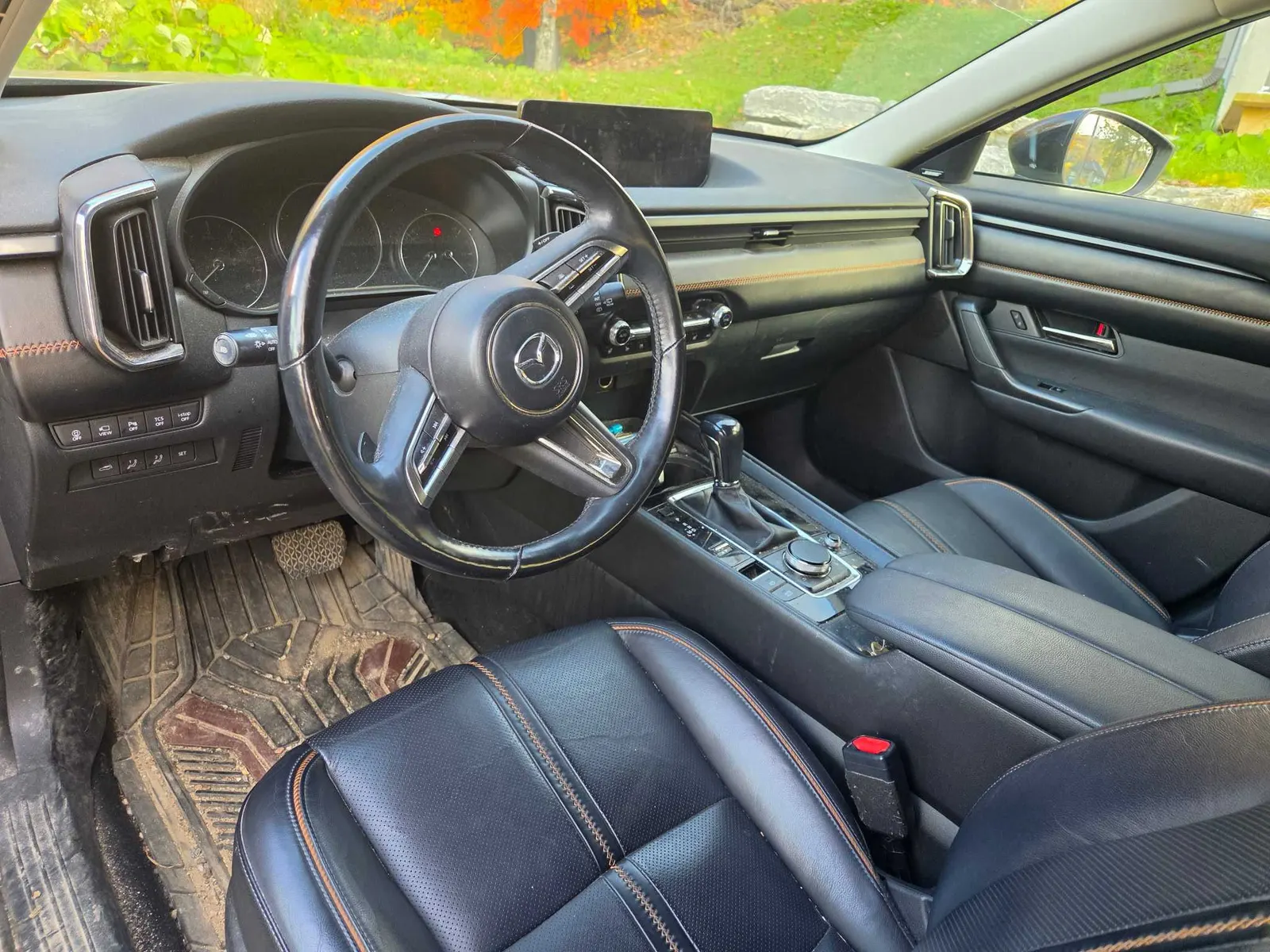 Interior driver side