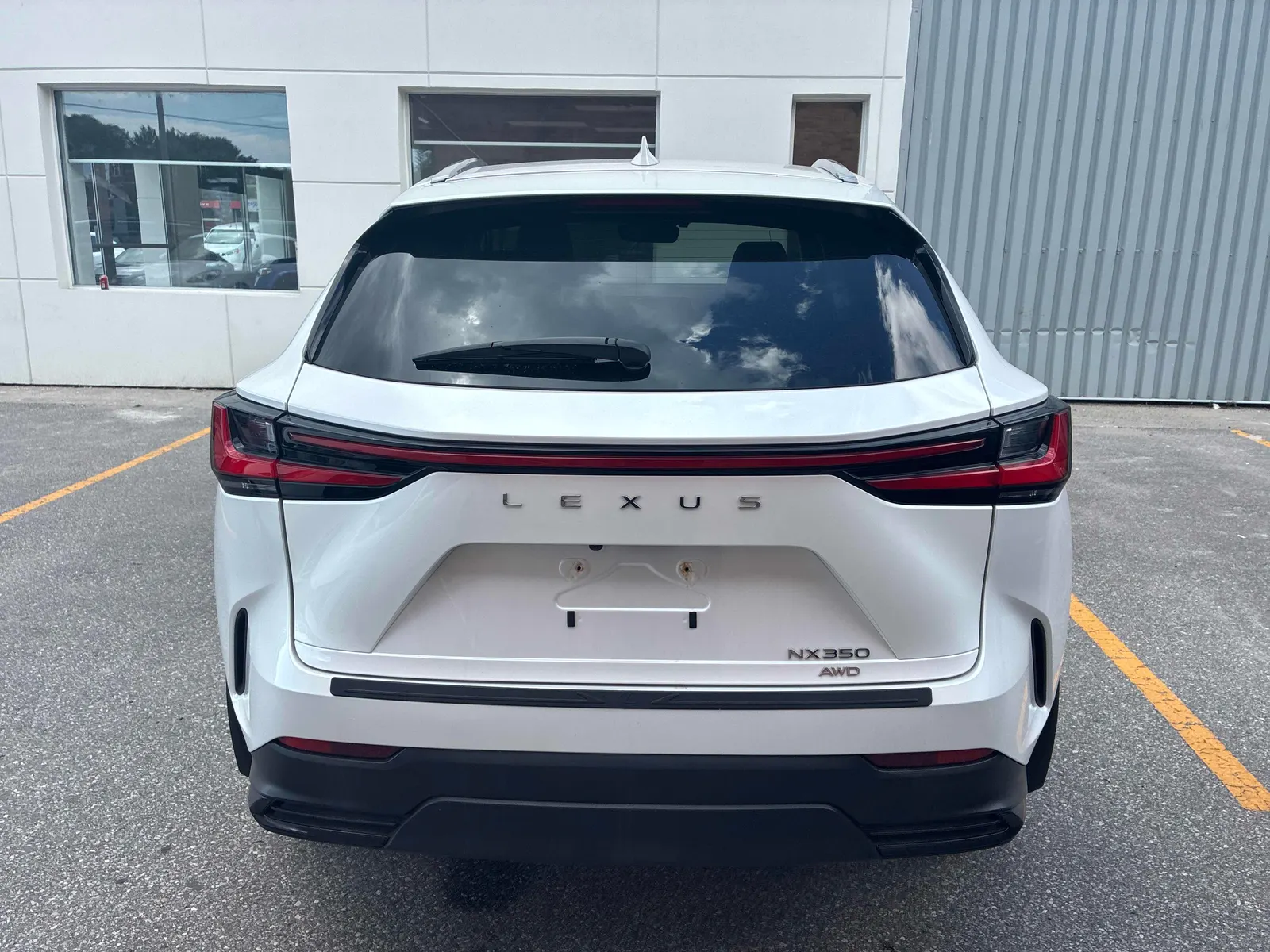 Back