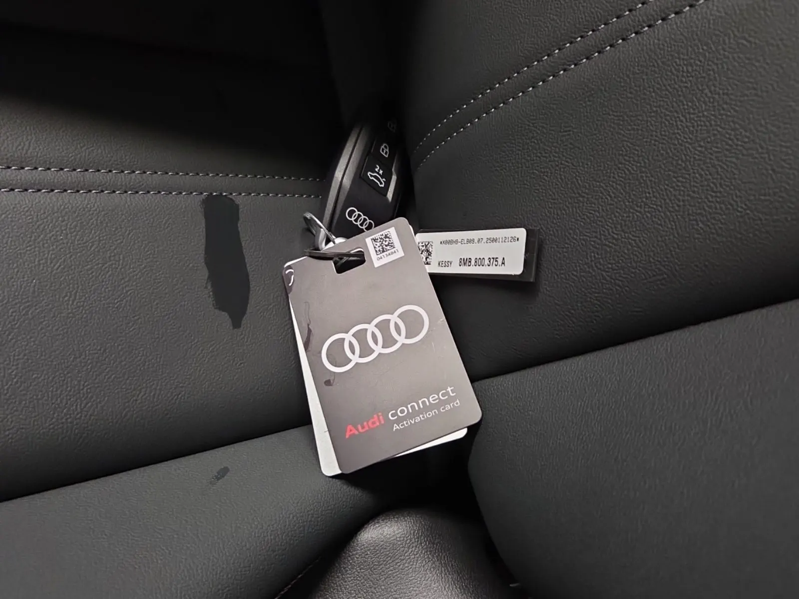 Keys/Fobs/Manual Photo