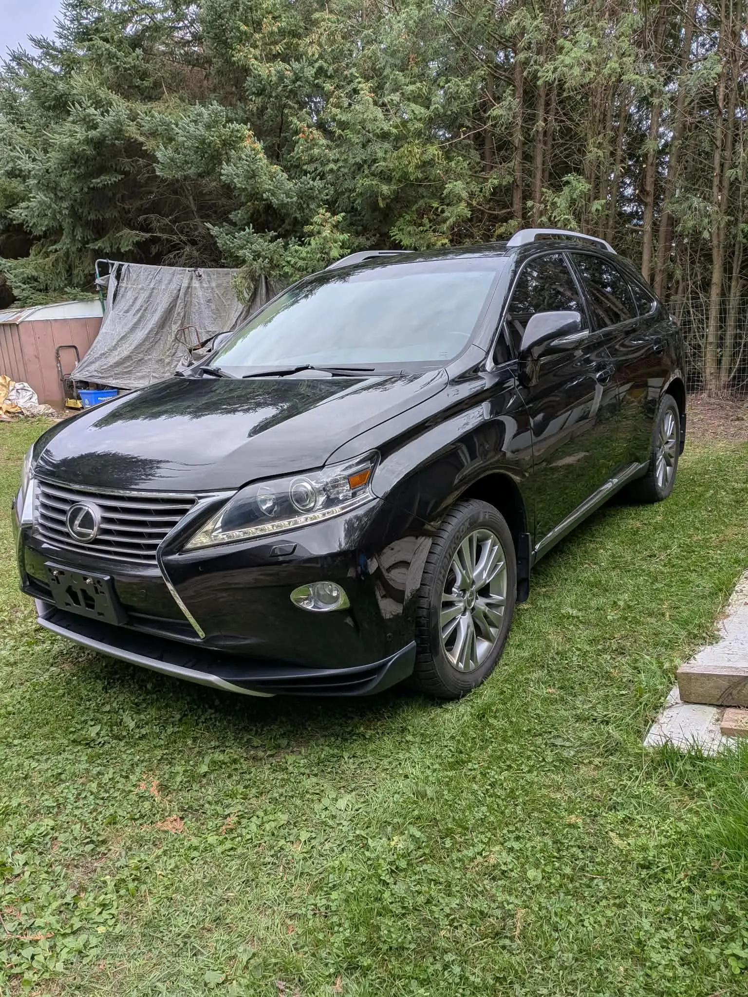 2014 Lexus RX 350
