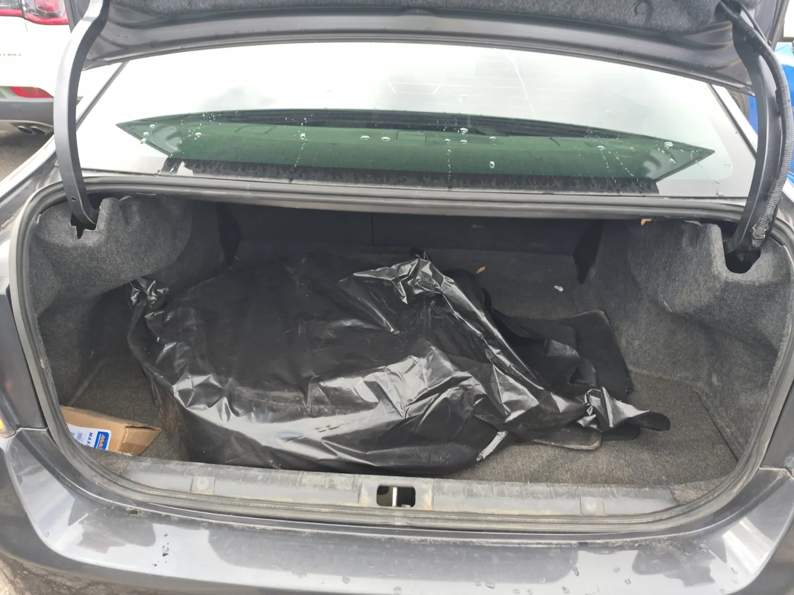 Cargo Area Photo