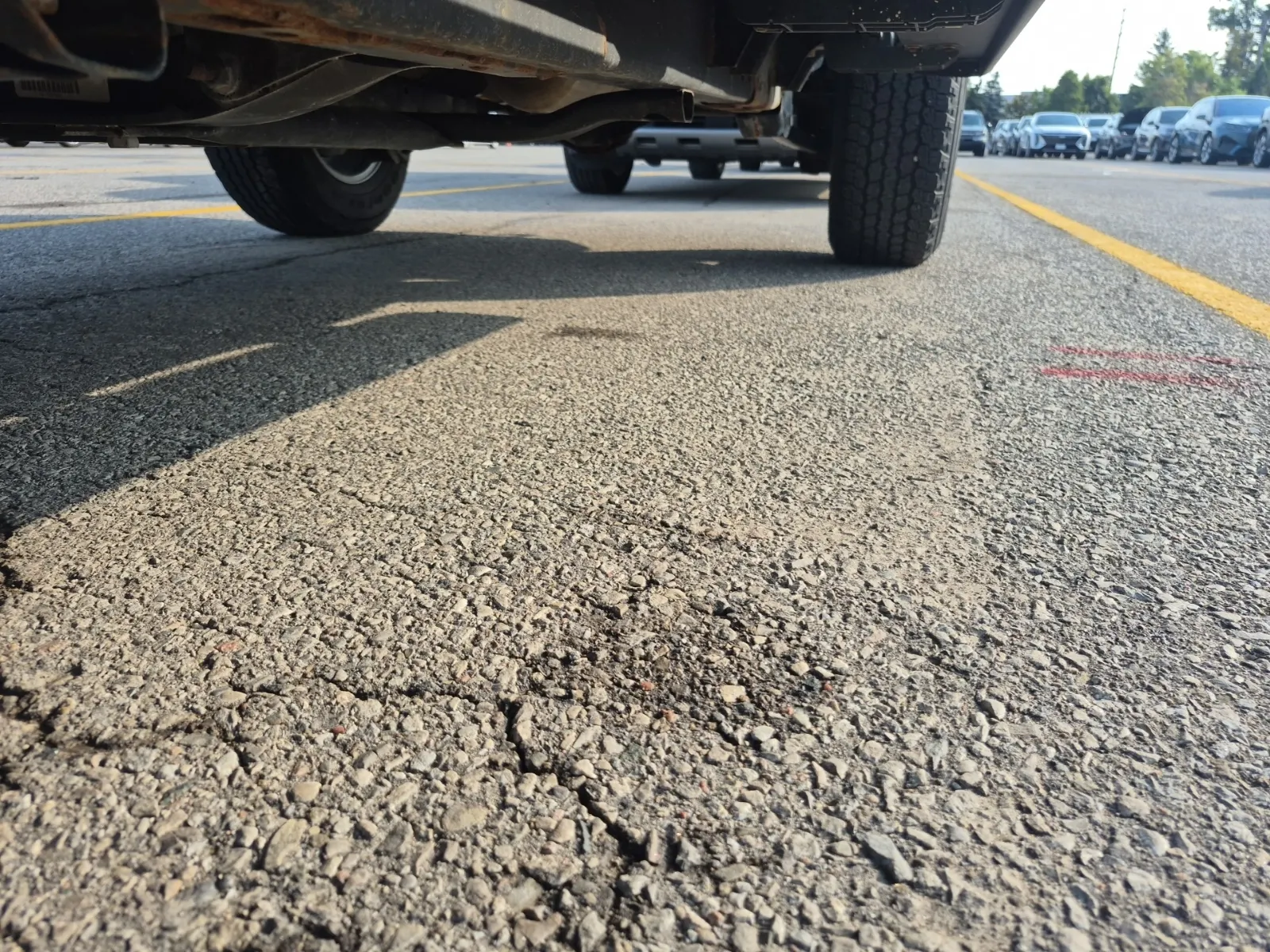 Undercarriage - Driver Photo