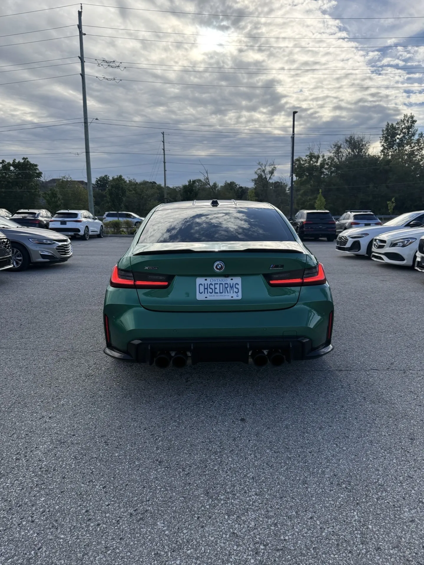 Back