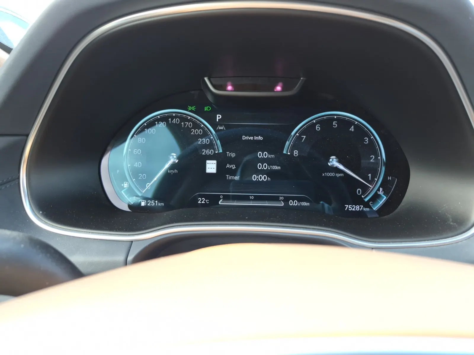 Odometer Photo