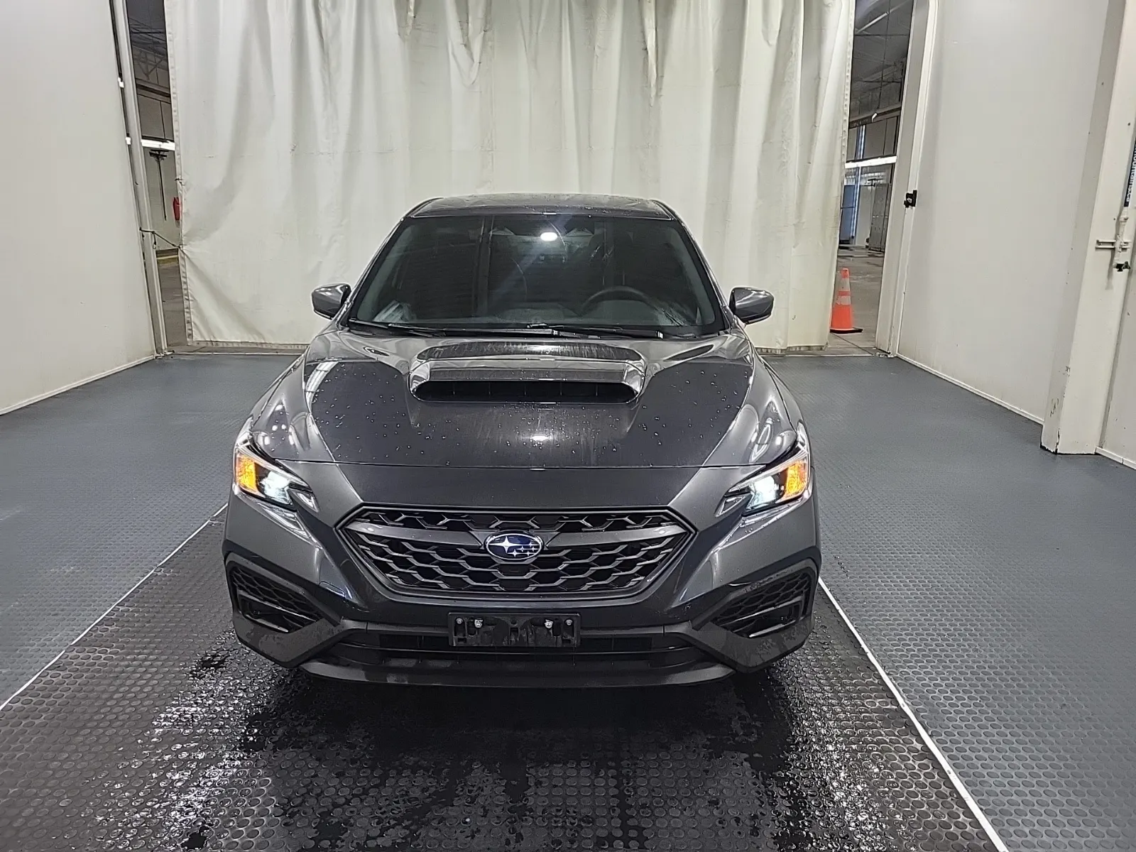 Full Front Photo