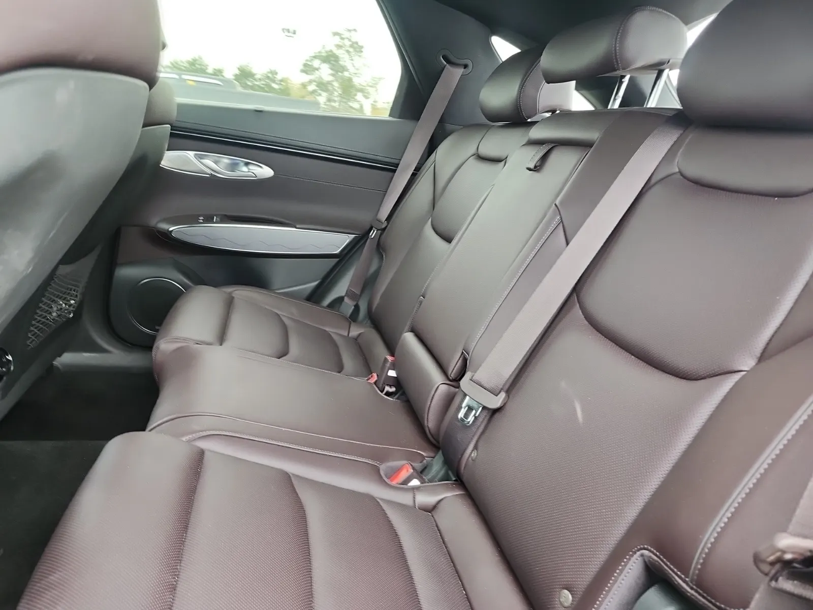 Rear Interior Photo