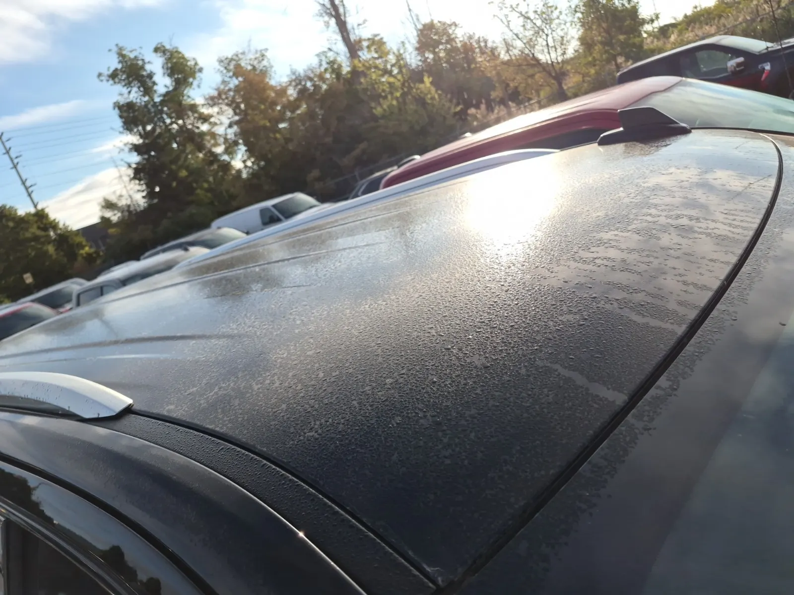 Exterior Roof Photo