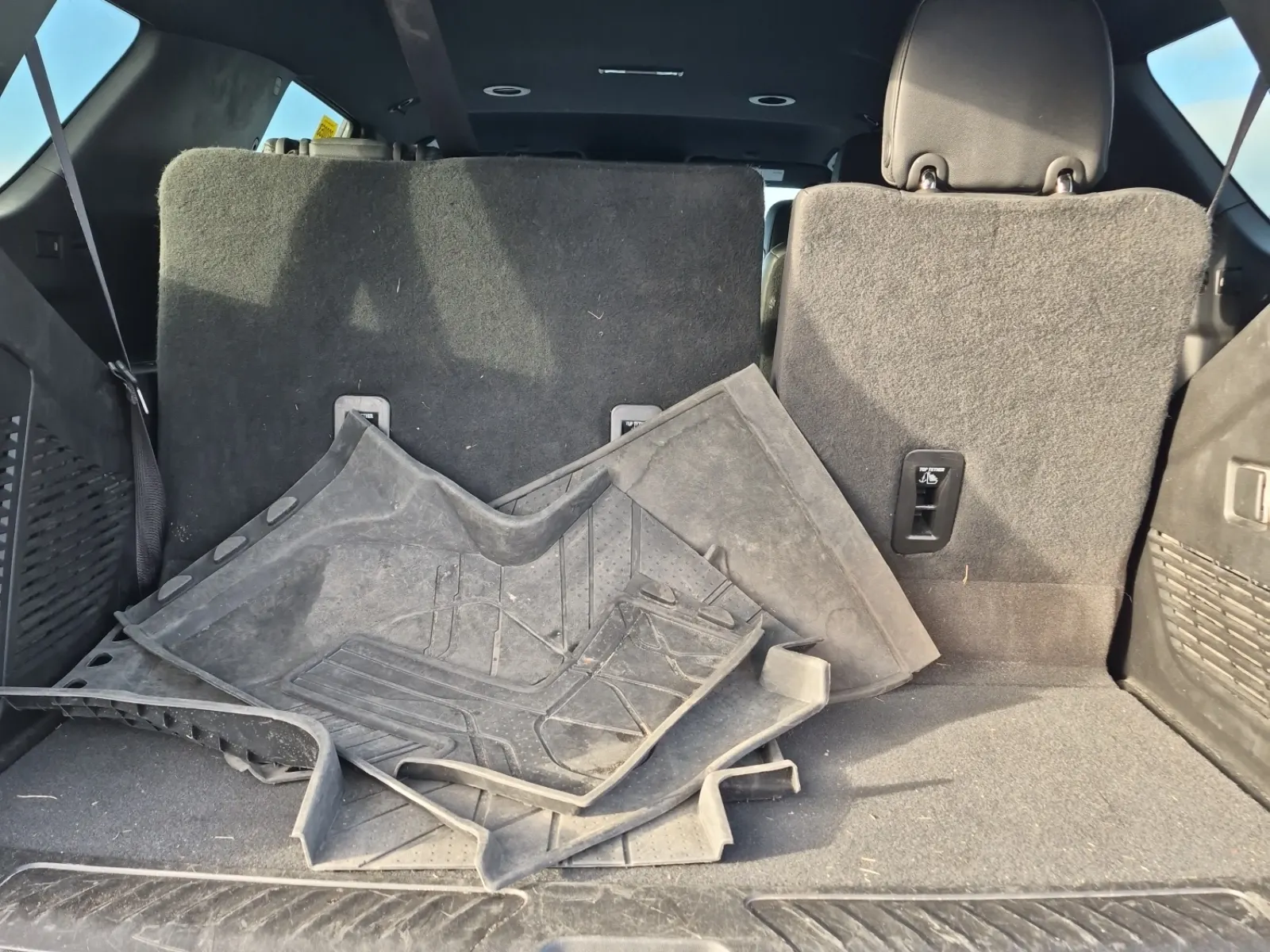 Cargo Area Photo
