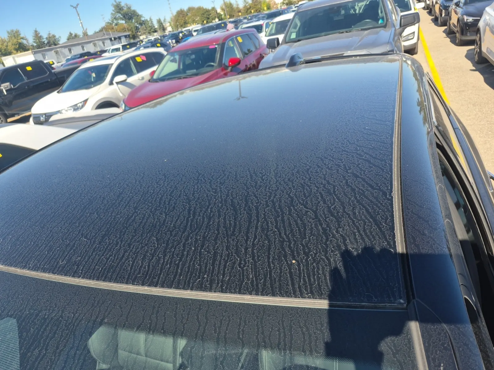 Exterior Roof Photo