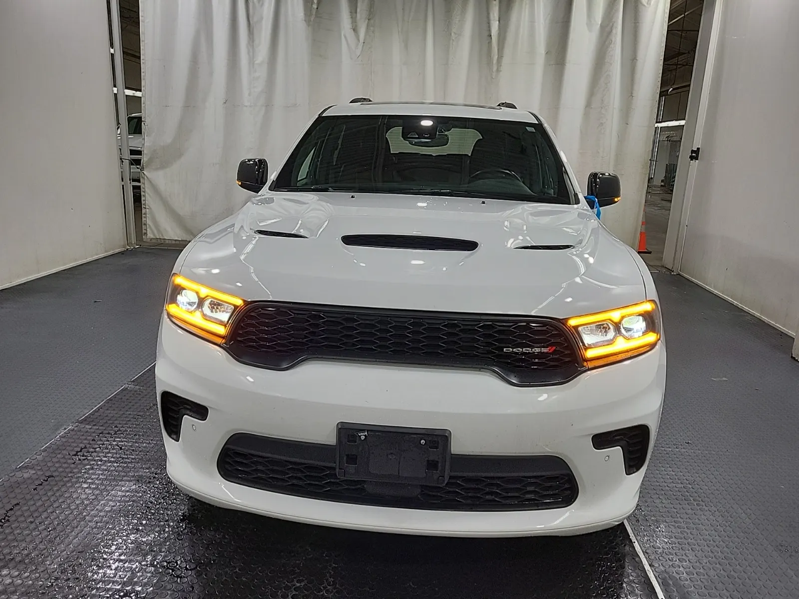 Full Front Photo