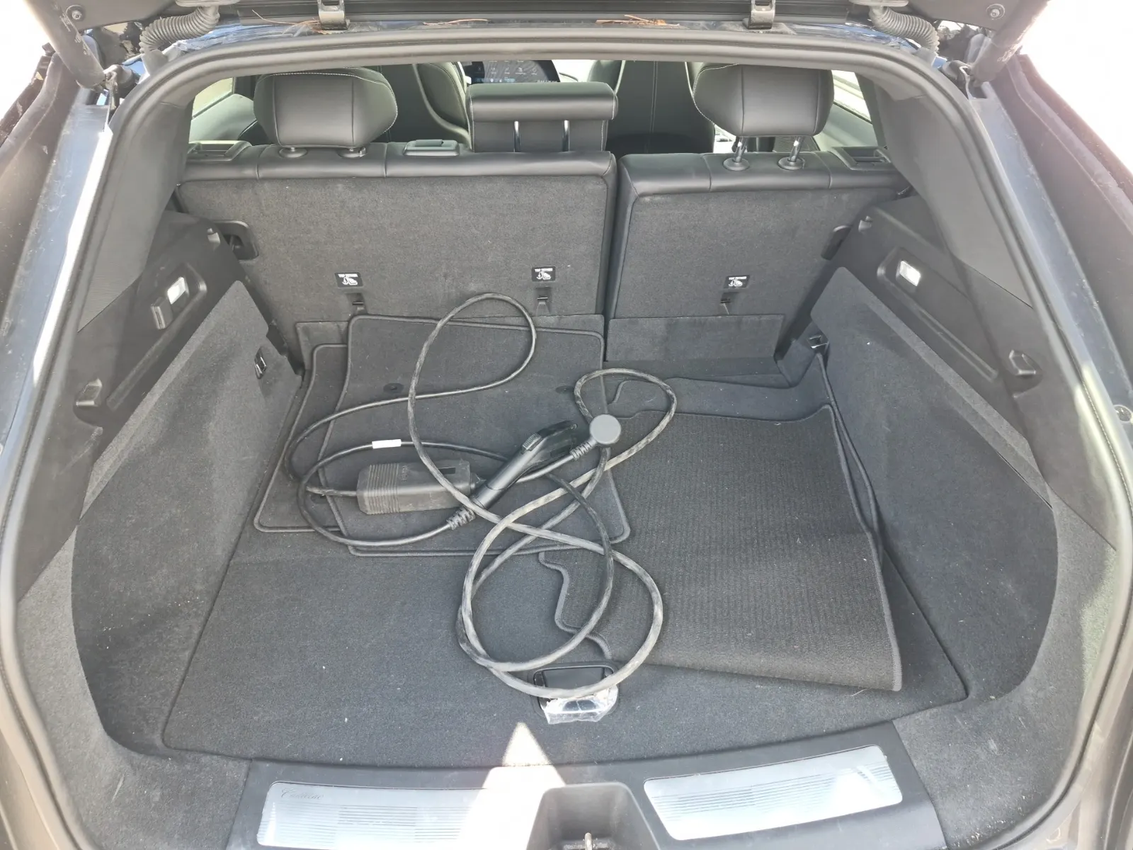 Cargo Area Photo