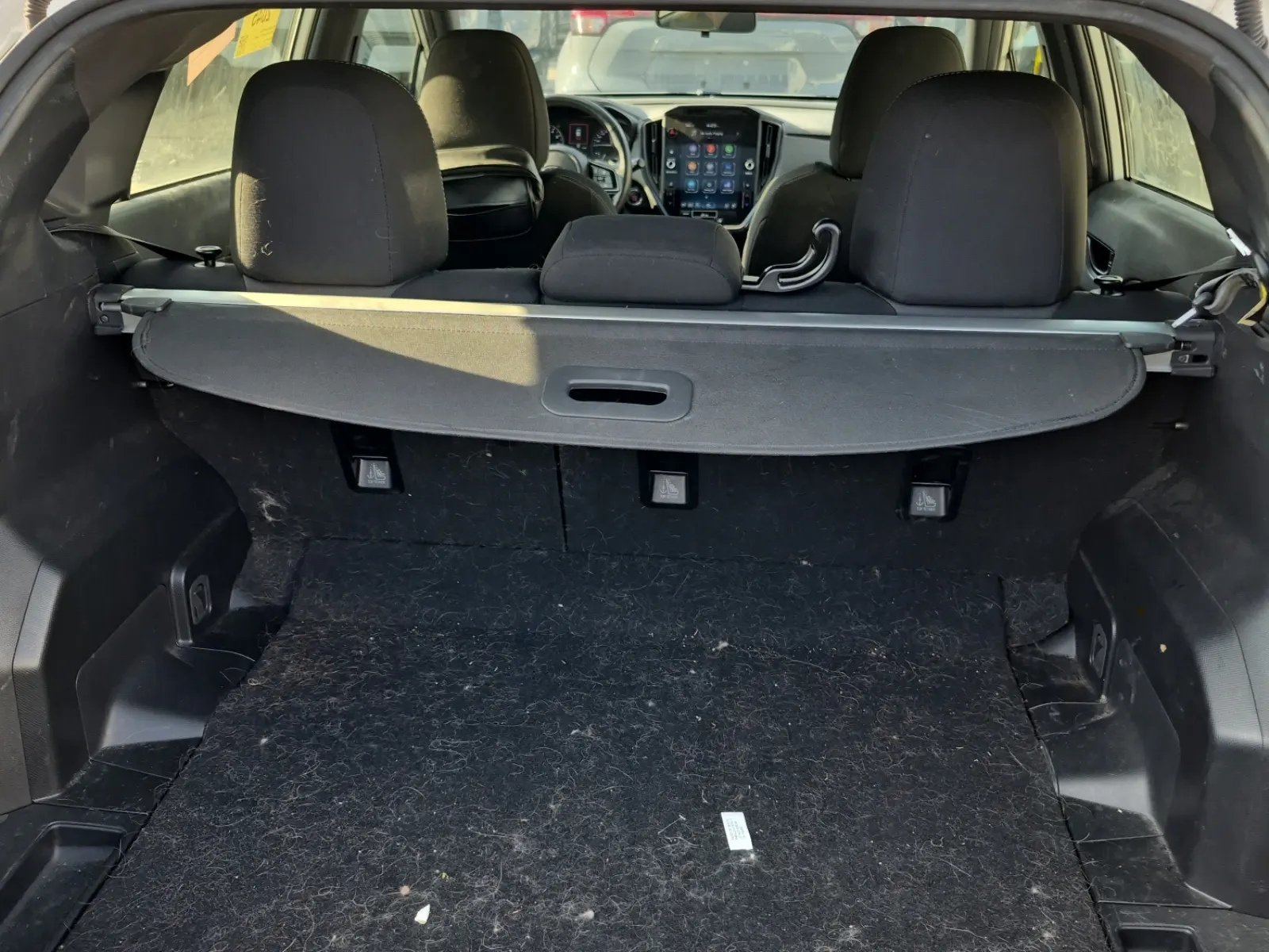 Cargo Area Photo
