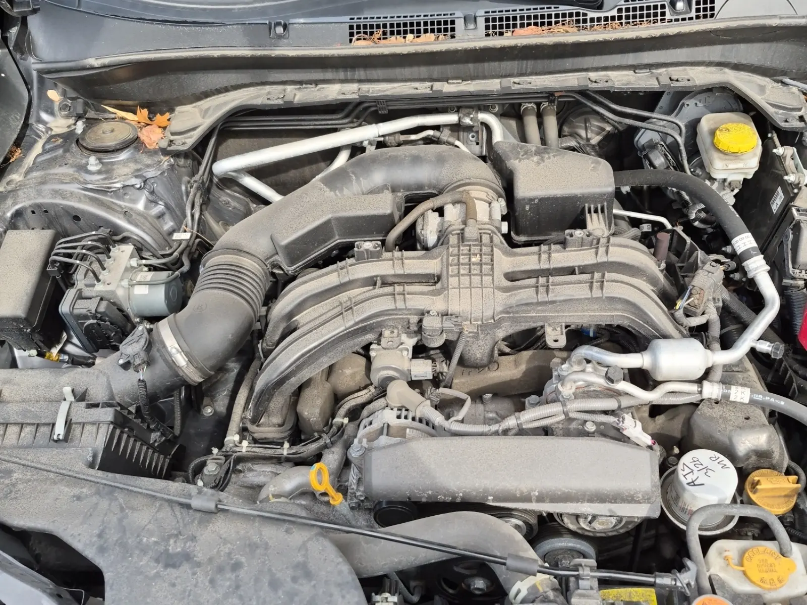 Engine Photo