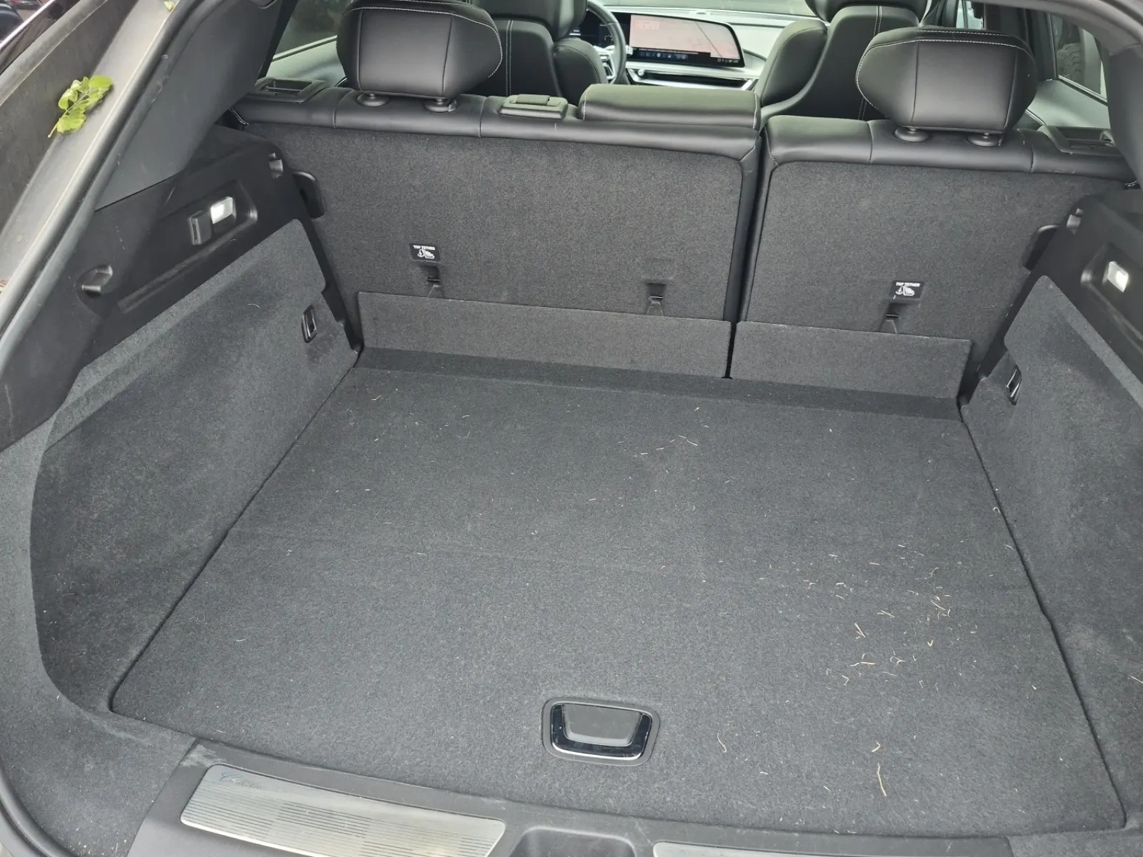 Cargo Area Photo