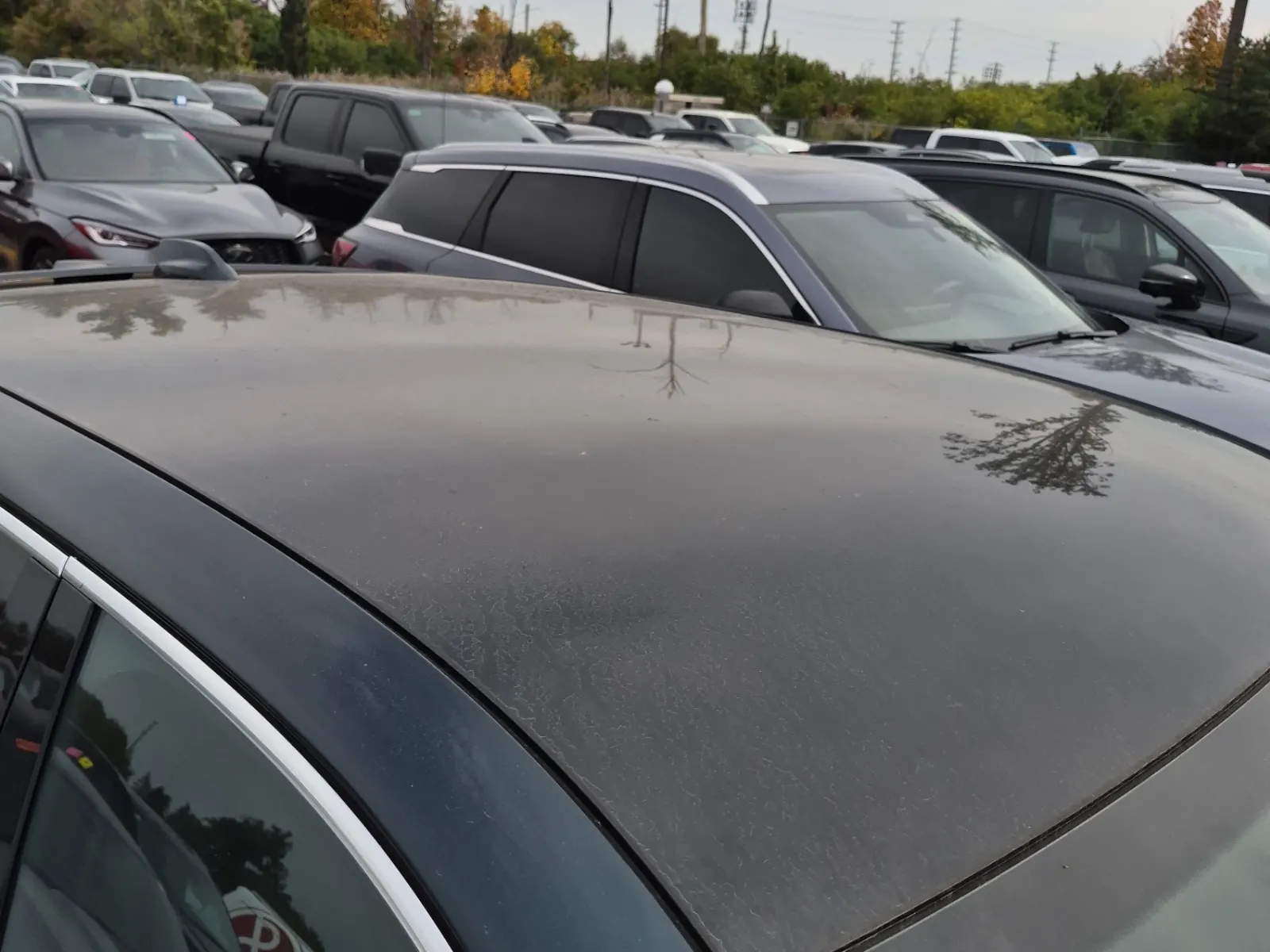 Exterior Roof Photo