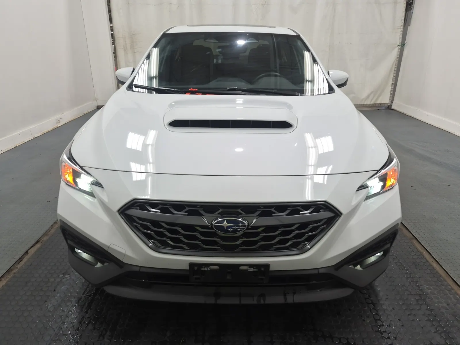 Full Front Photo