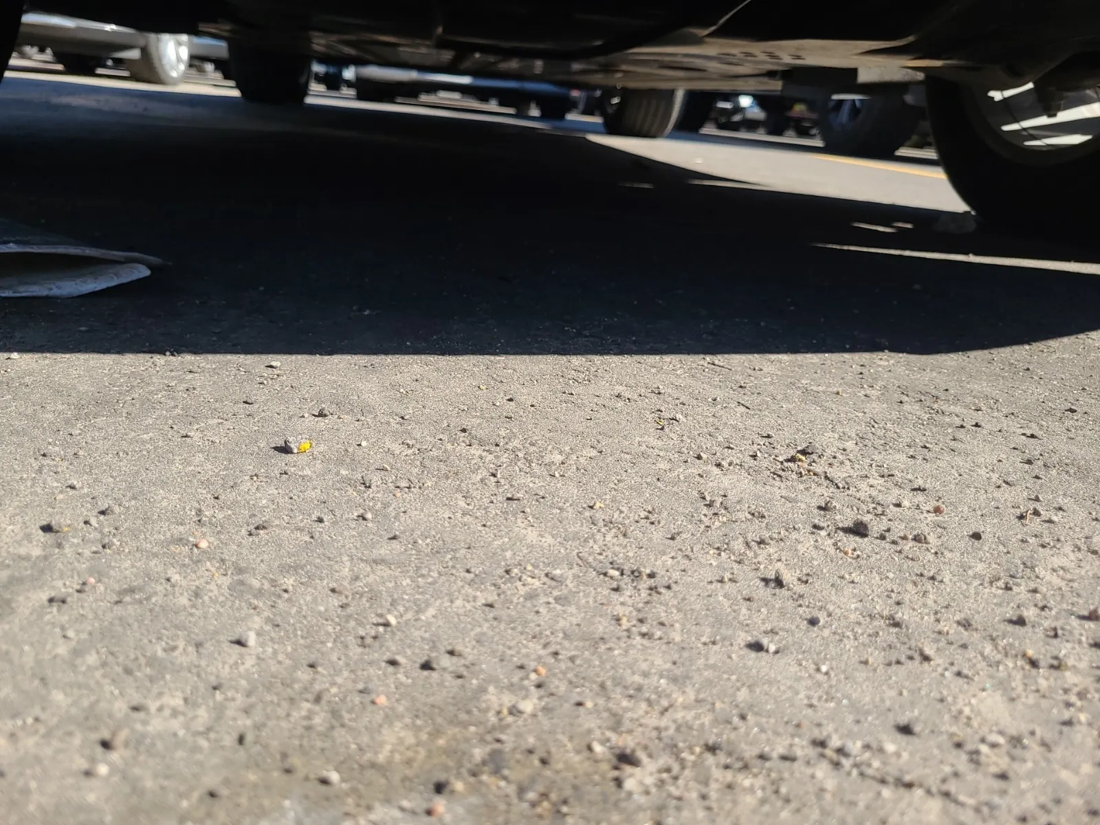 Undercarriage - Front Photo