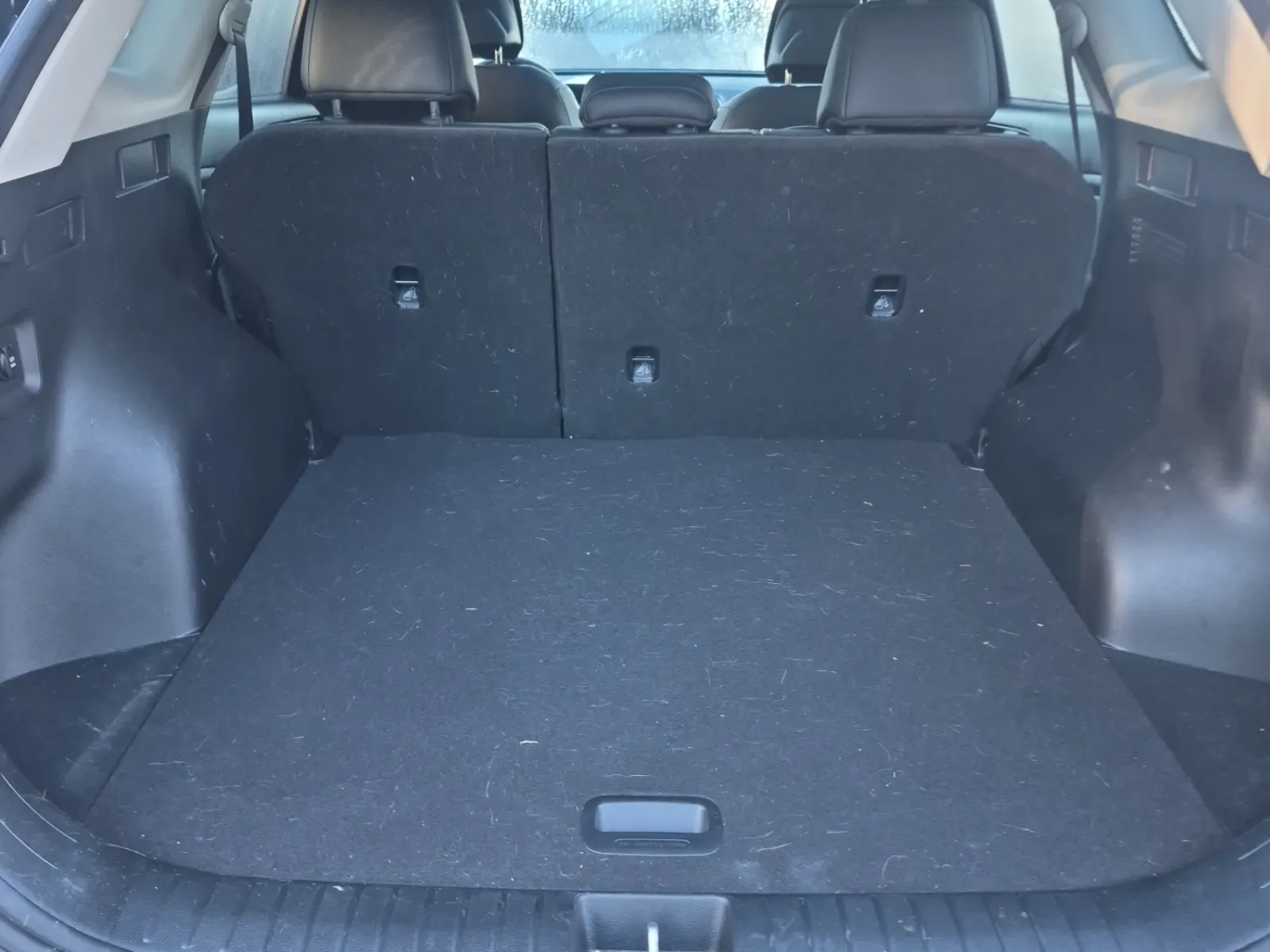 Cargo Area Photo