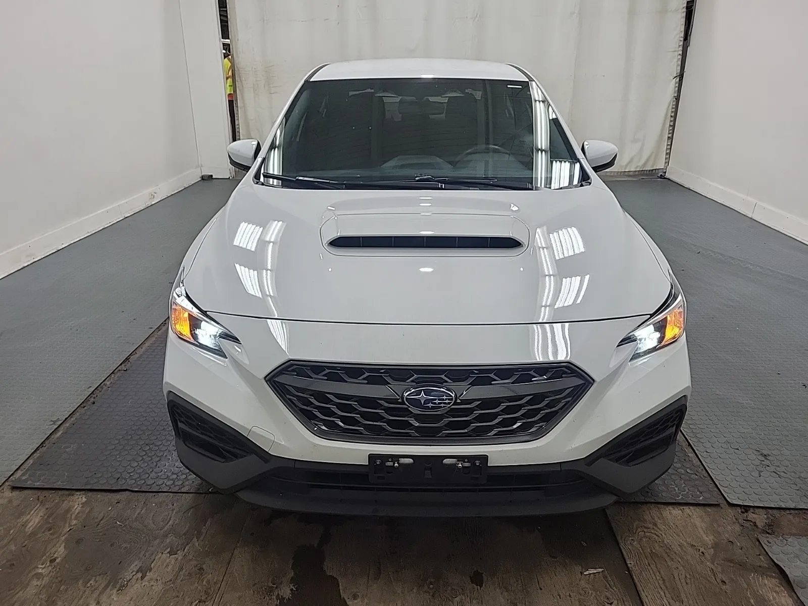Full Front Photo