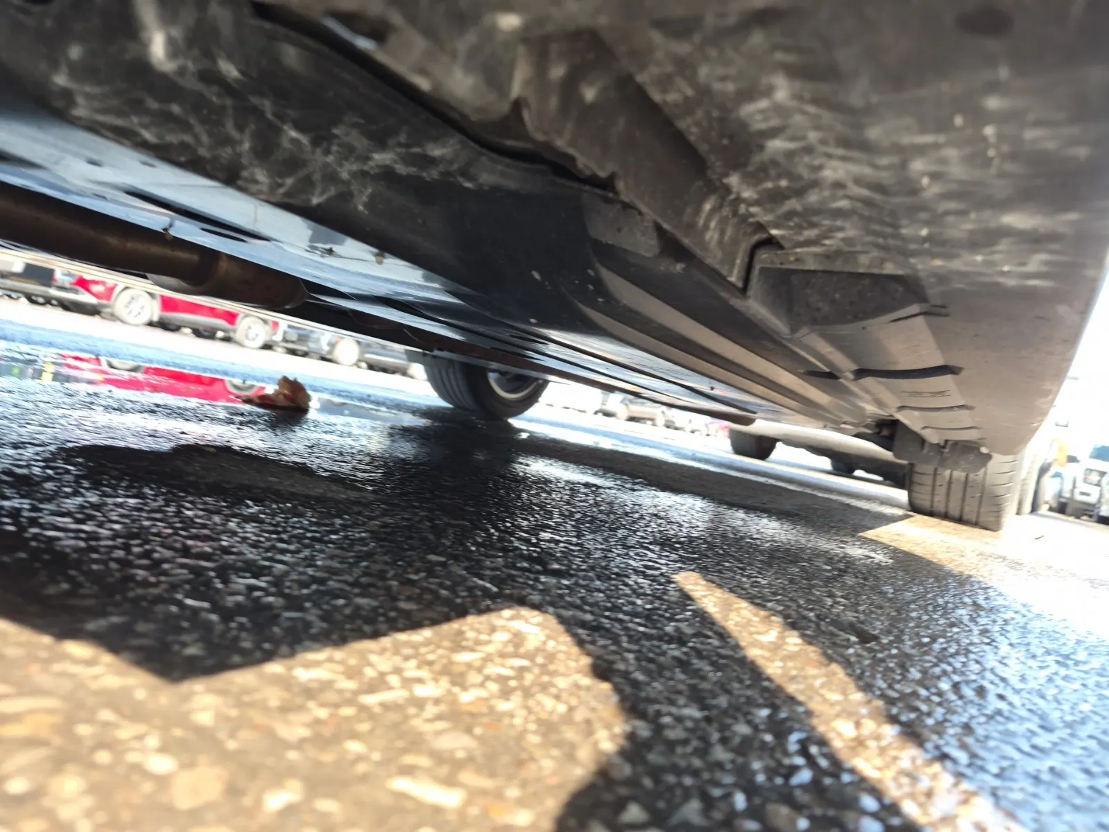 Undercarriage - Driver Photo