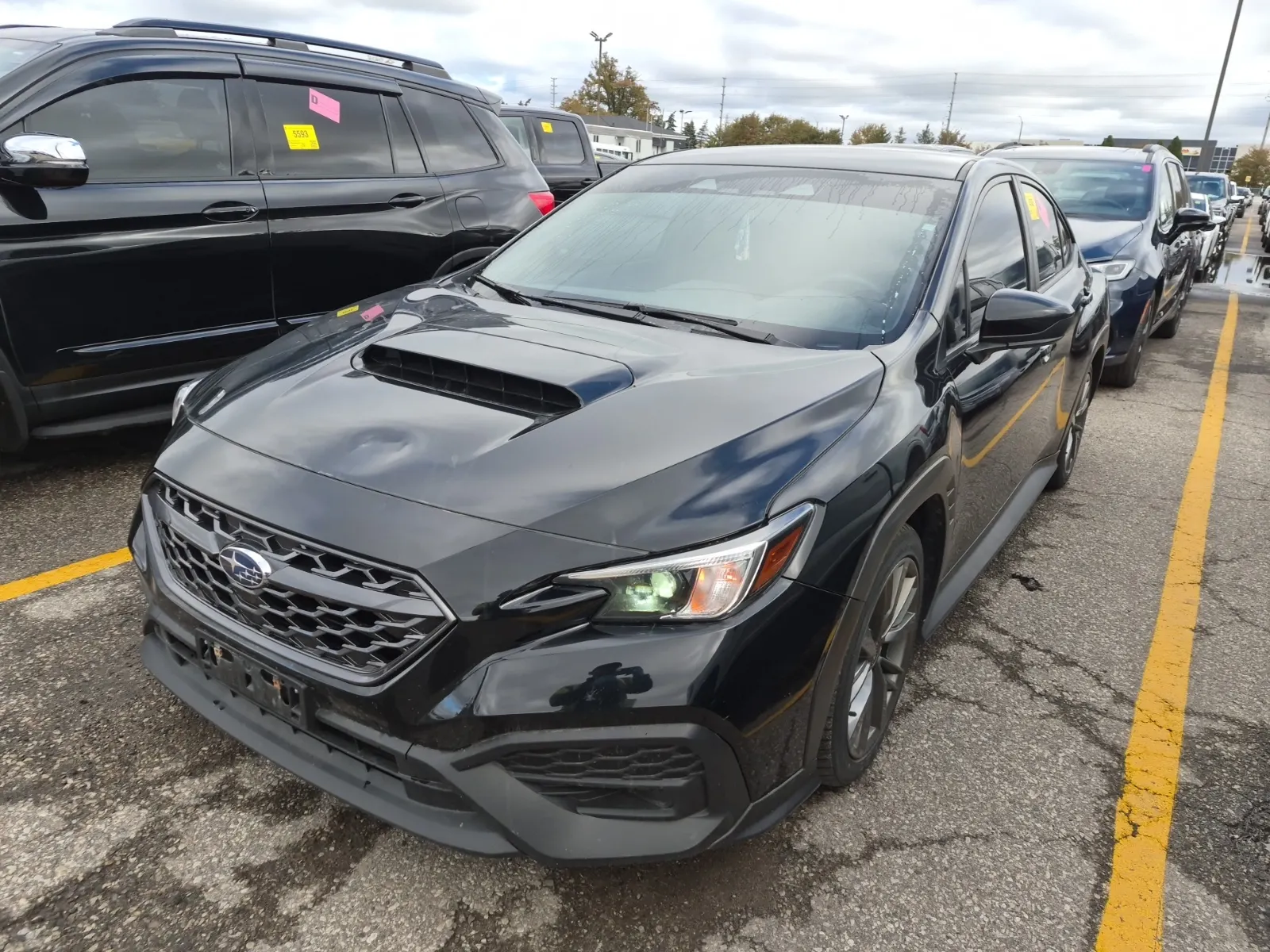 2024 Subaru WRX