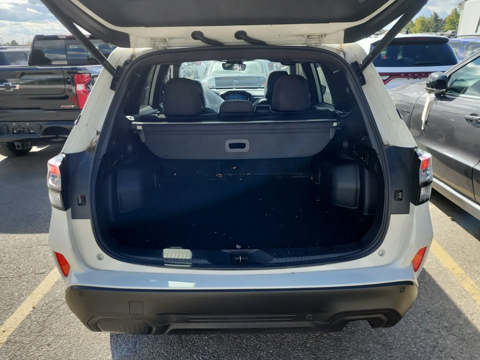 Cargo Area Photo