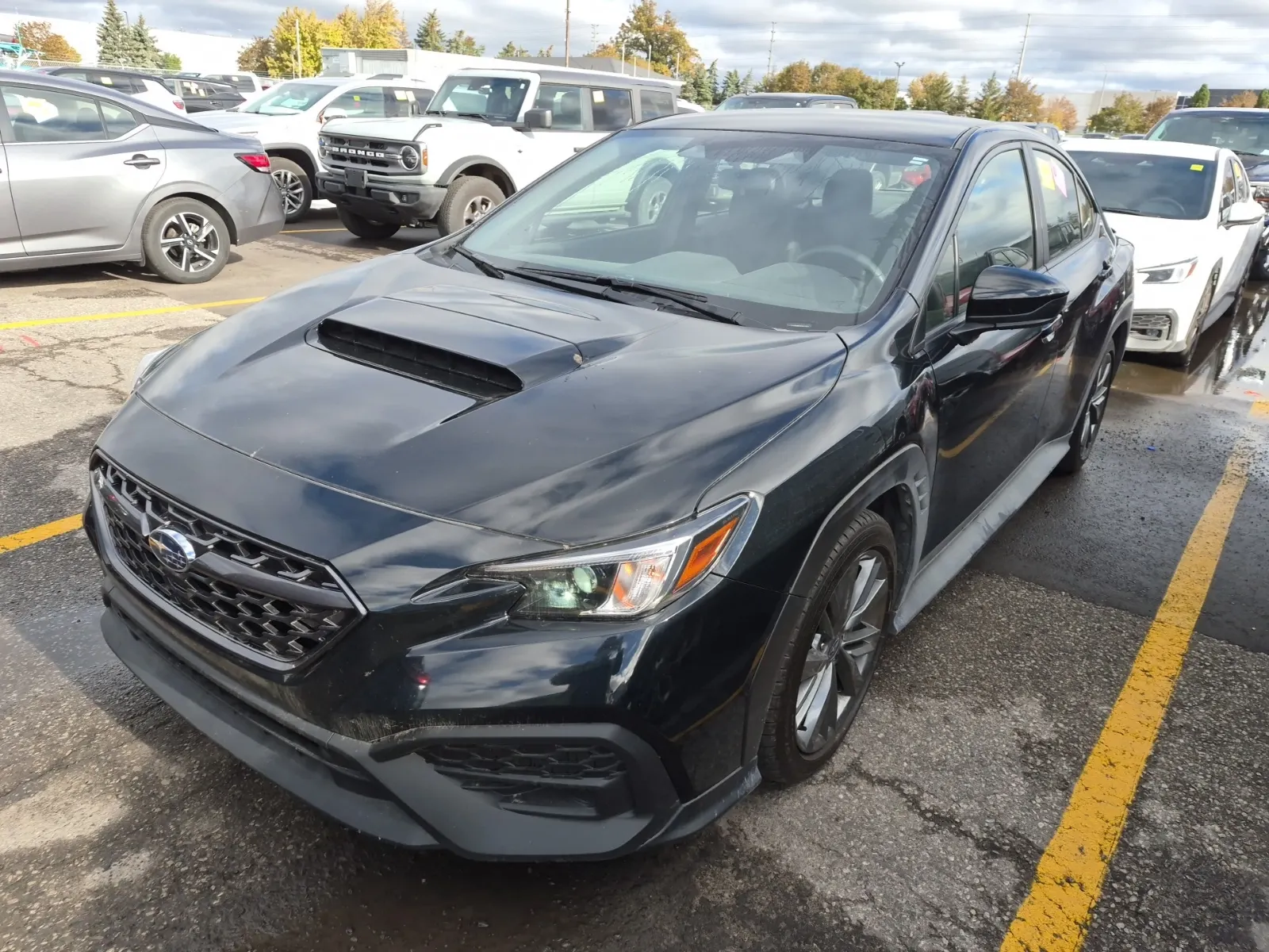 2024 Subaru WRX