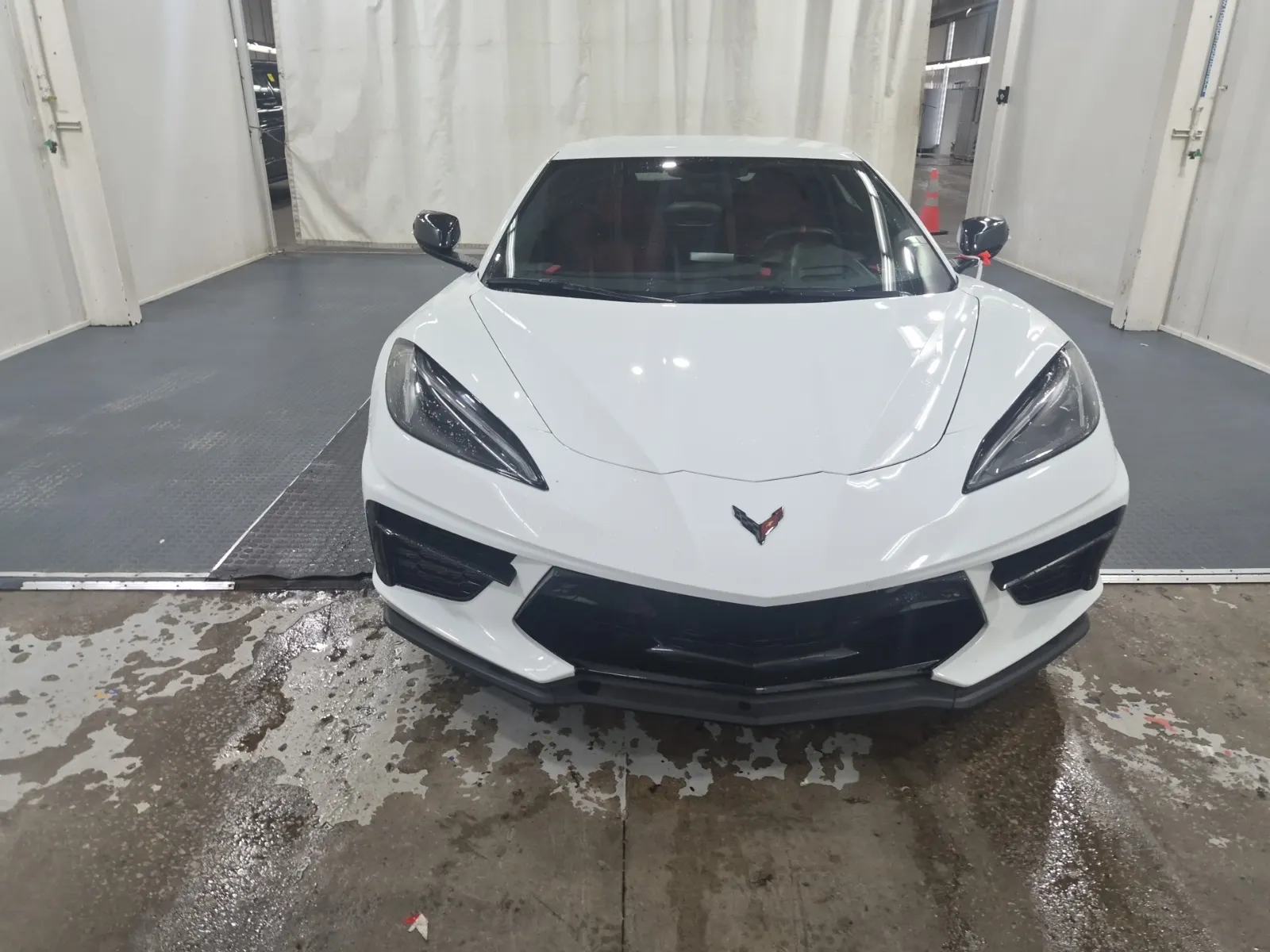 Full Front Photo