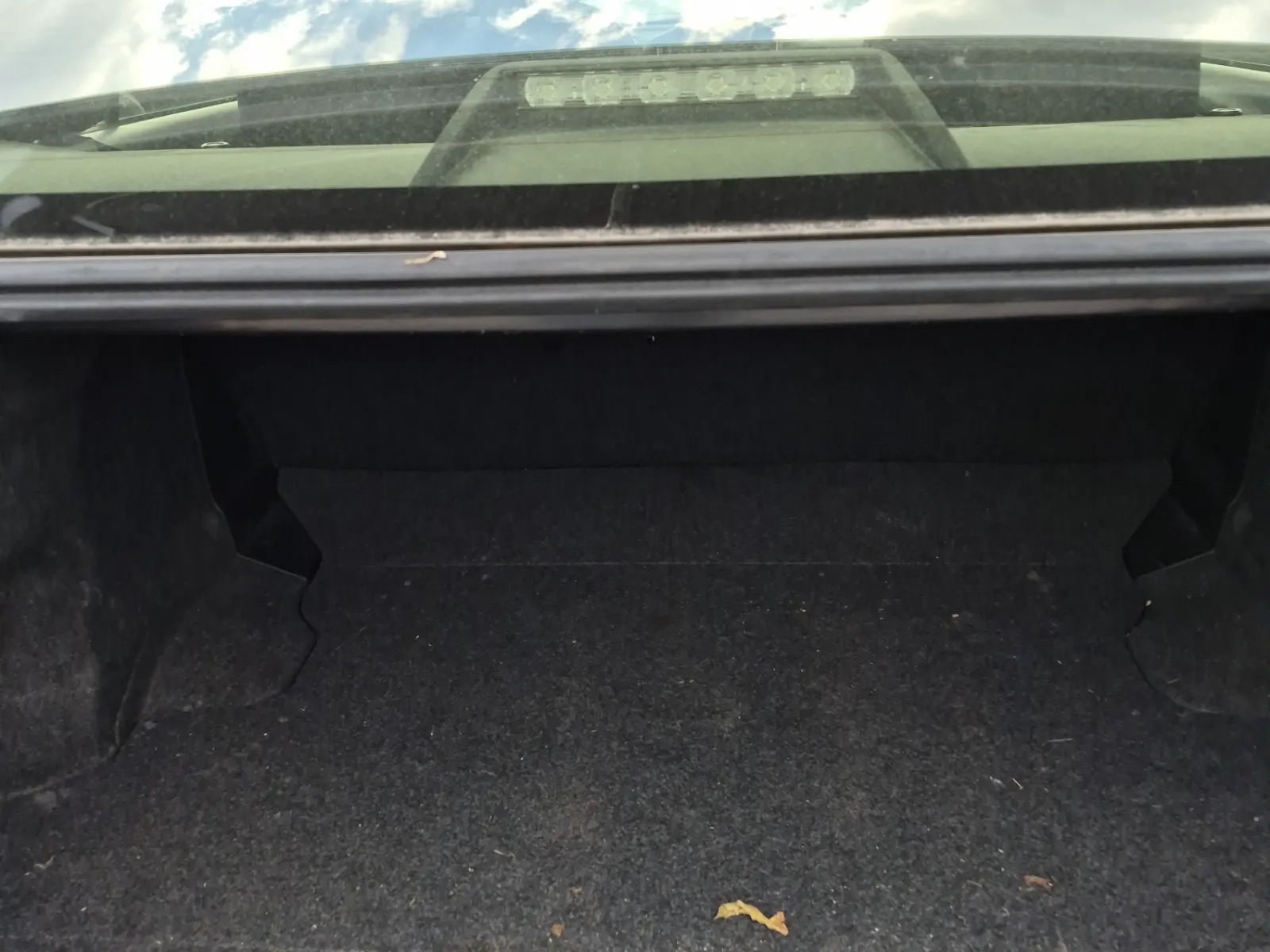 Cargo Area Photo