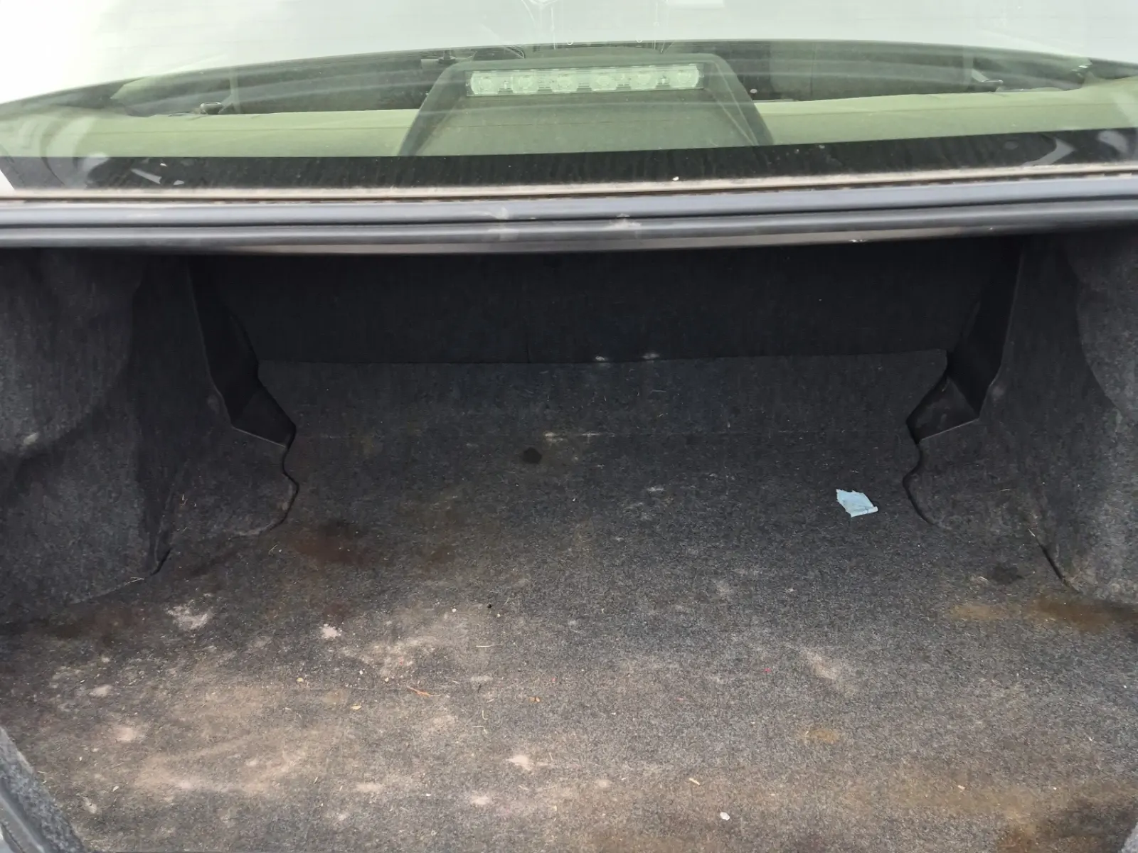 Cargo Area Photo