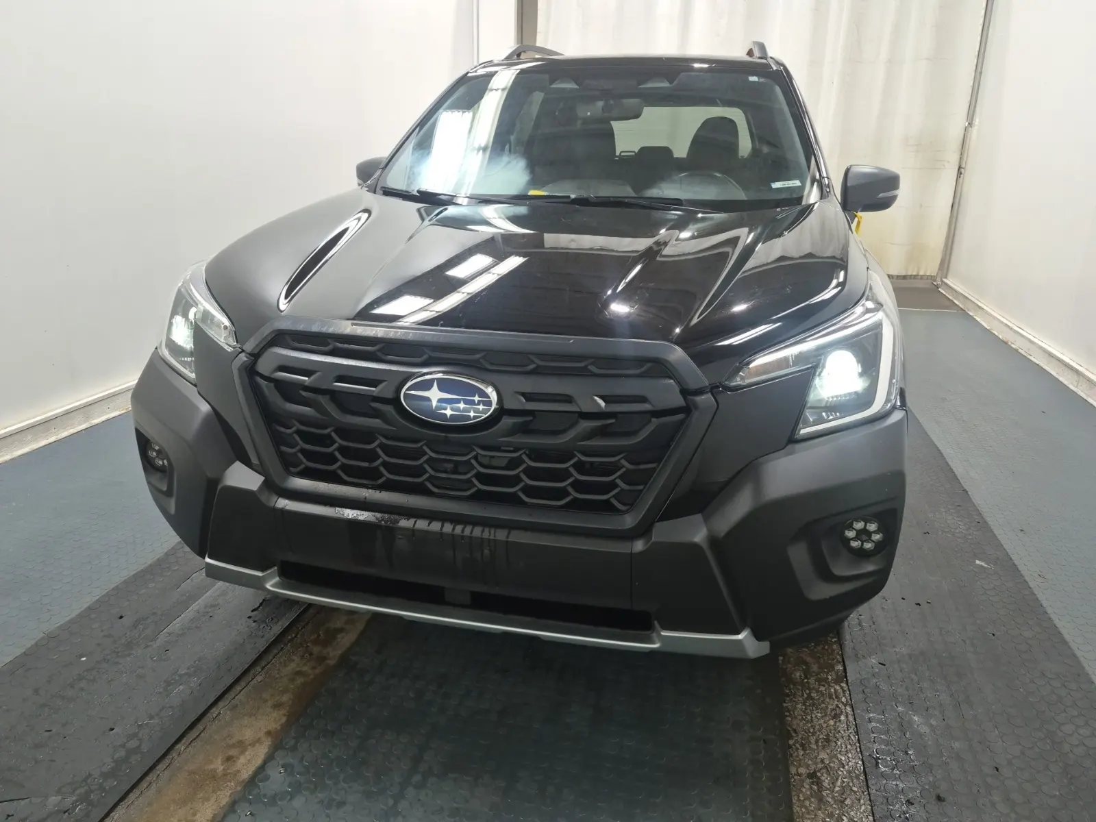 Full Front Photo